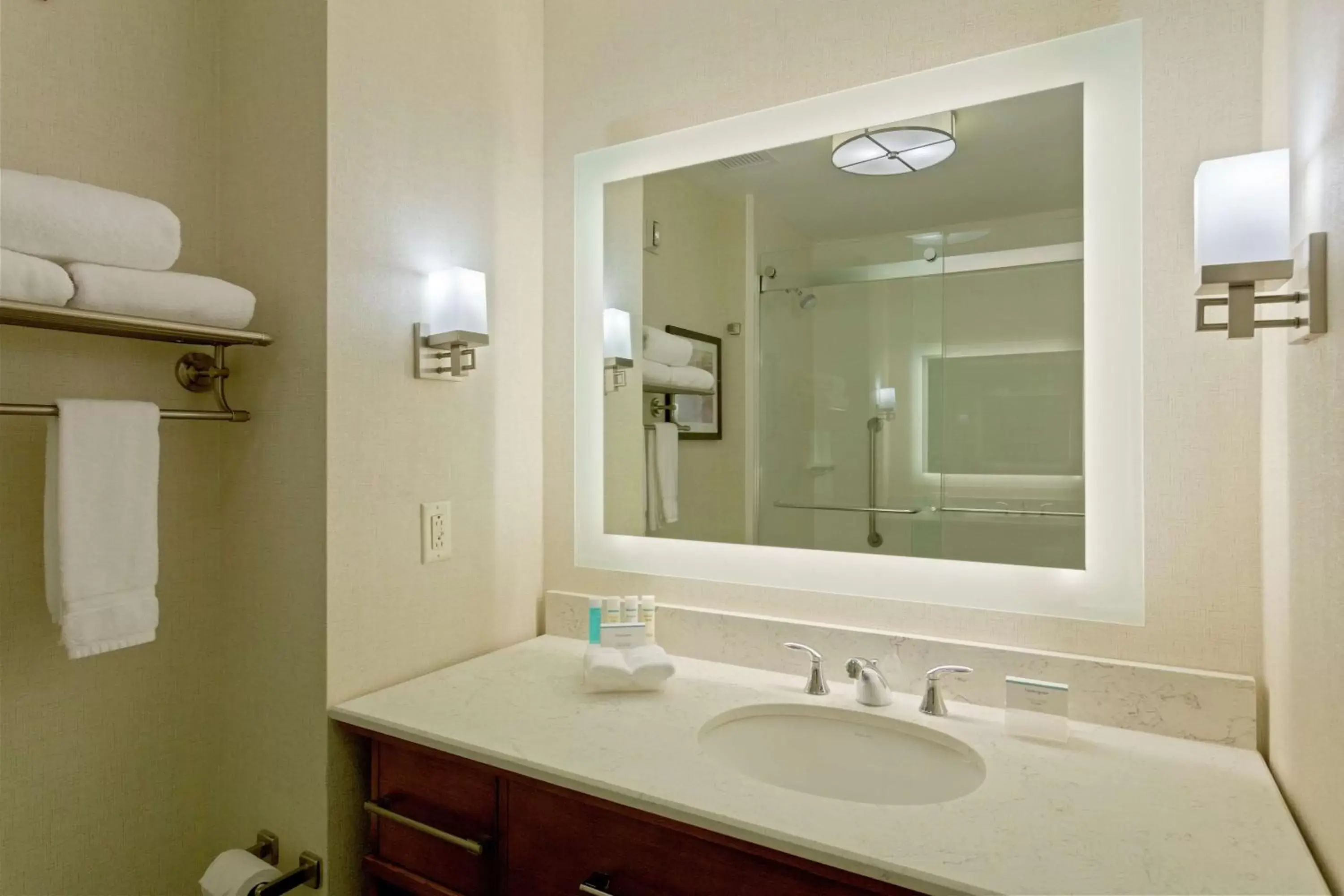 Bathroom in Homewood Suites by Hilton Richmond-Downtown