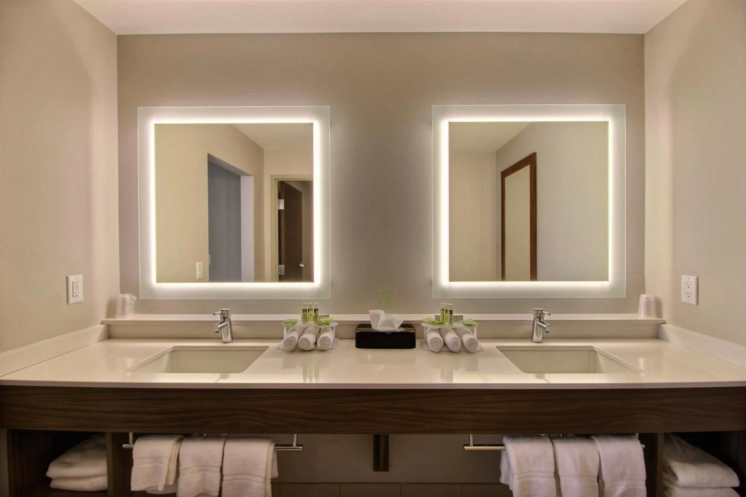Bathroom in Holiday Inn Express & Suites Fond Du Lac, an IHG Hotel