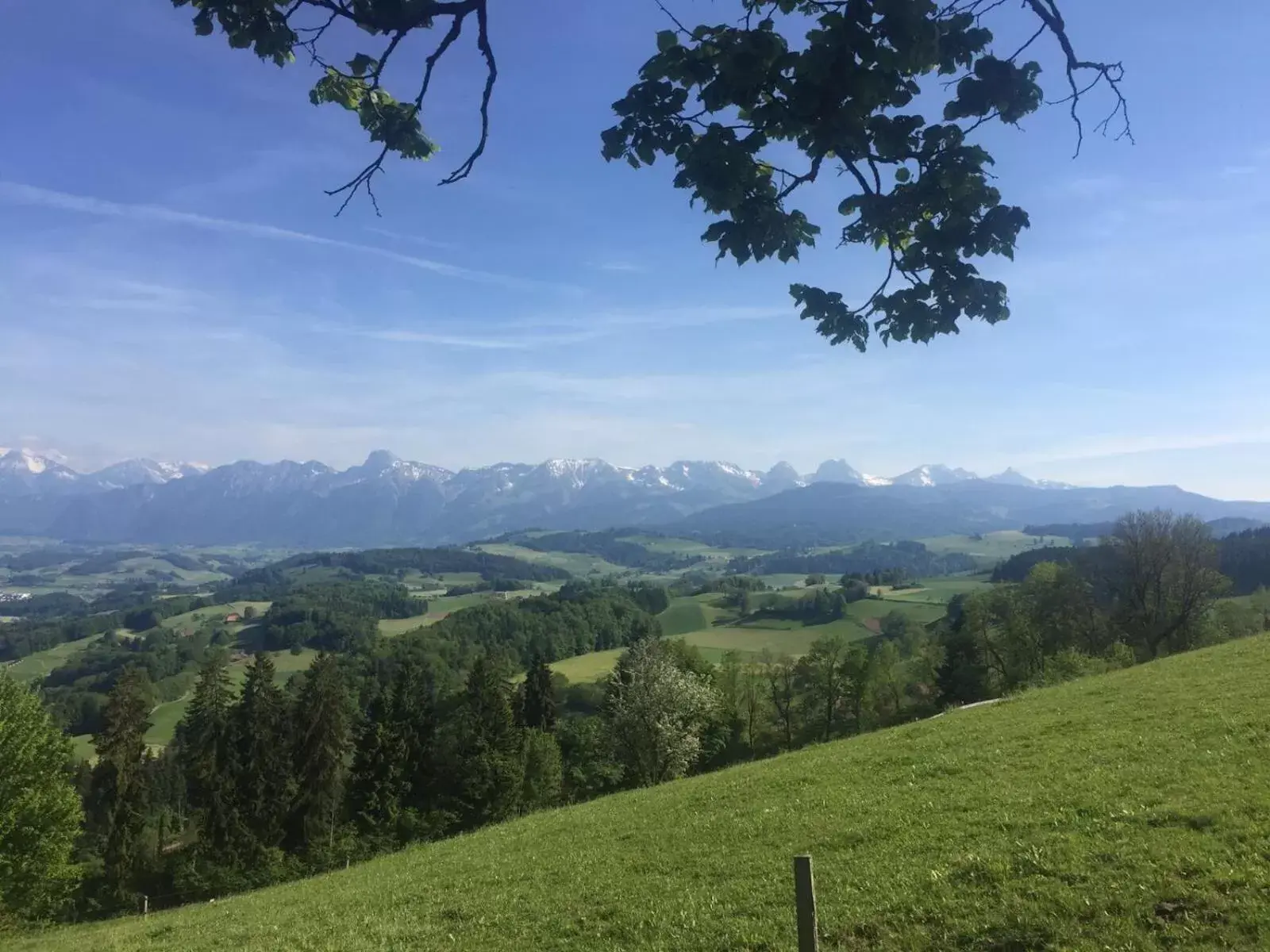 Natural landscape in B&B Bären