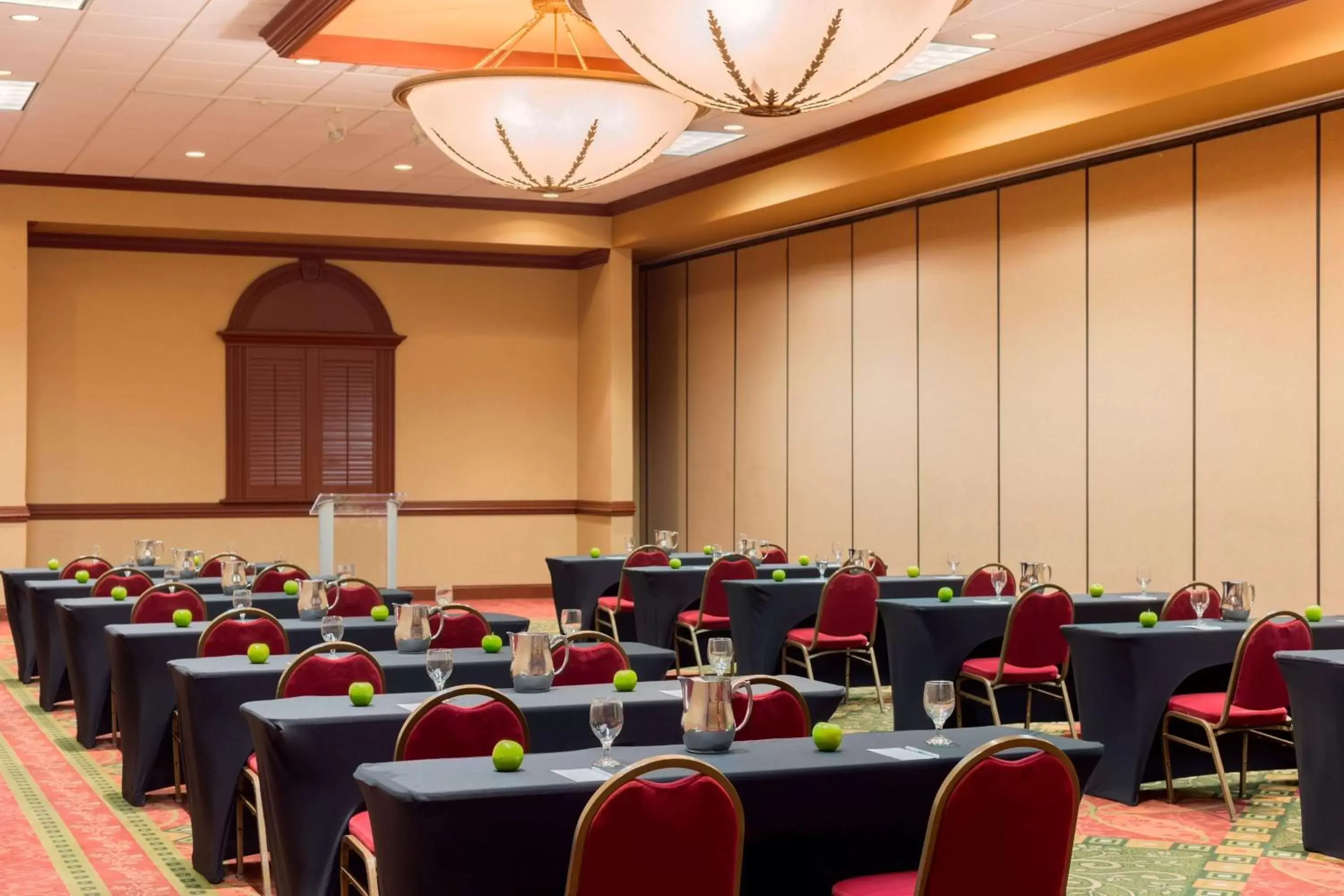 Meeting/conference room in Embassy Suites by Hilton Columbia Greystone