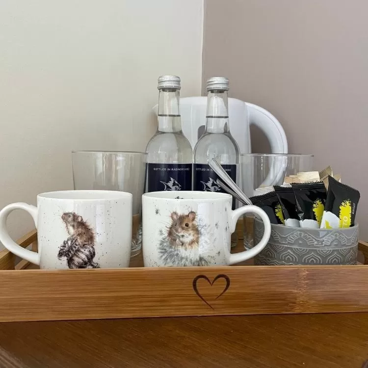 Drinks in The Cottage Inn