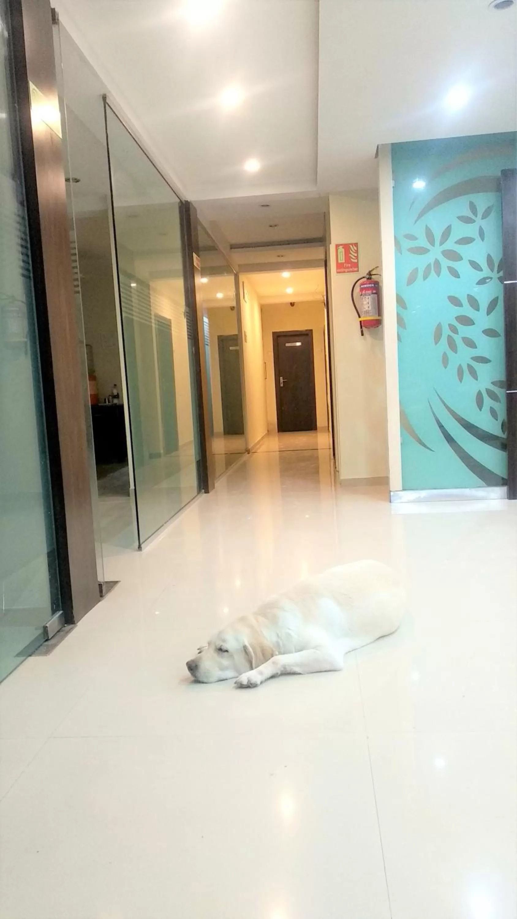 Pets in SAI SRUSHTI by NEEM SQUARE