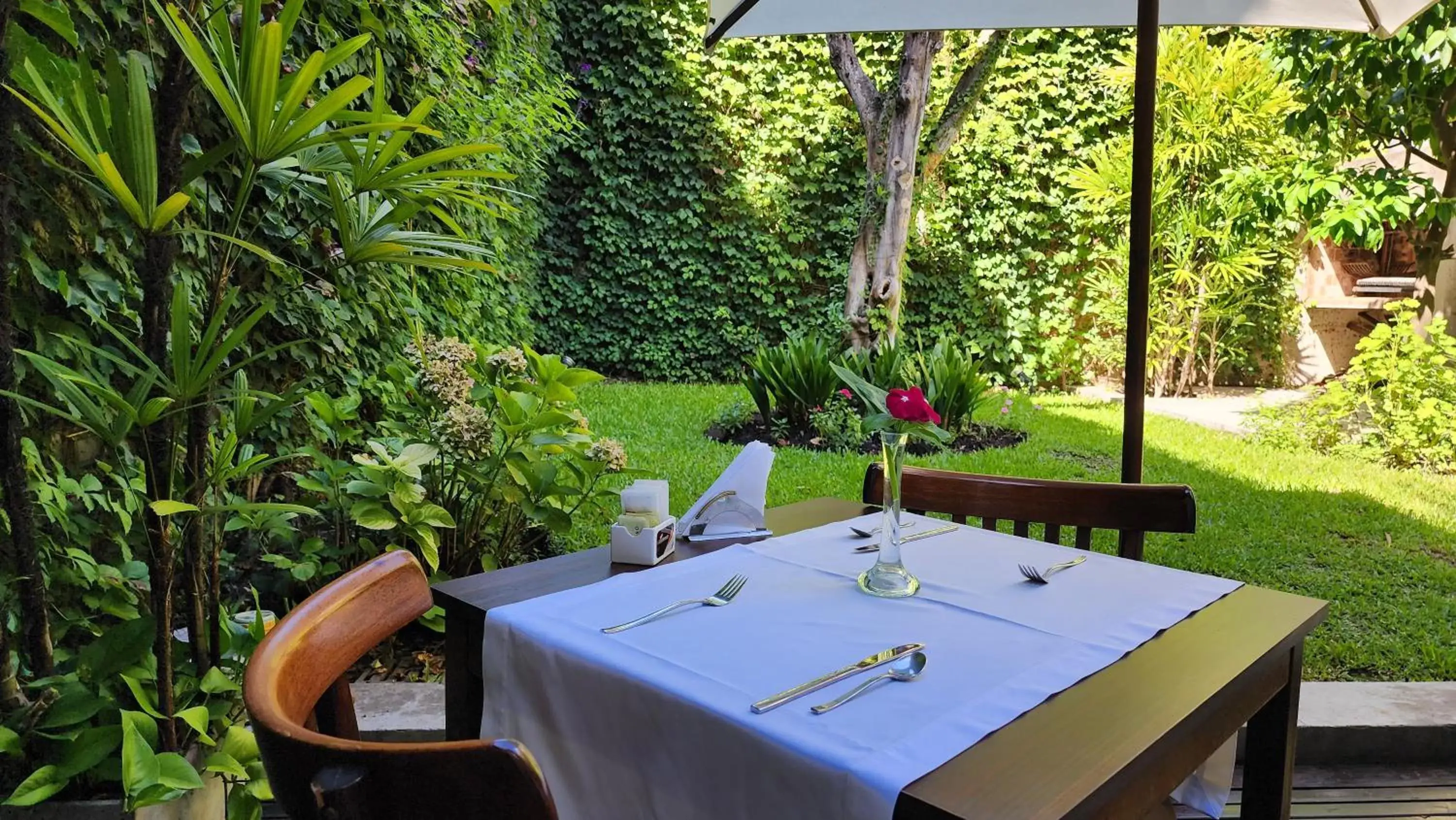 Garden view, Restaurant/Places to Eat in 248 Finisterra