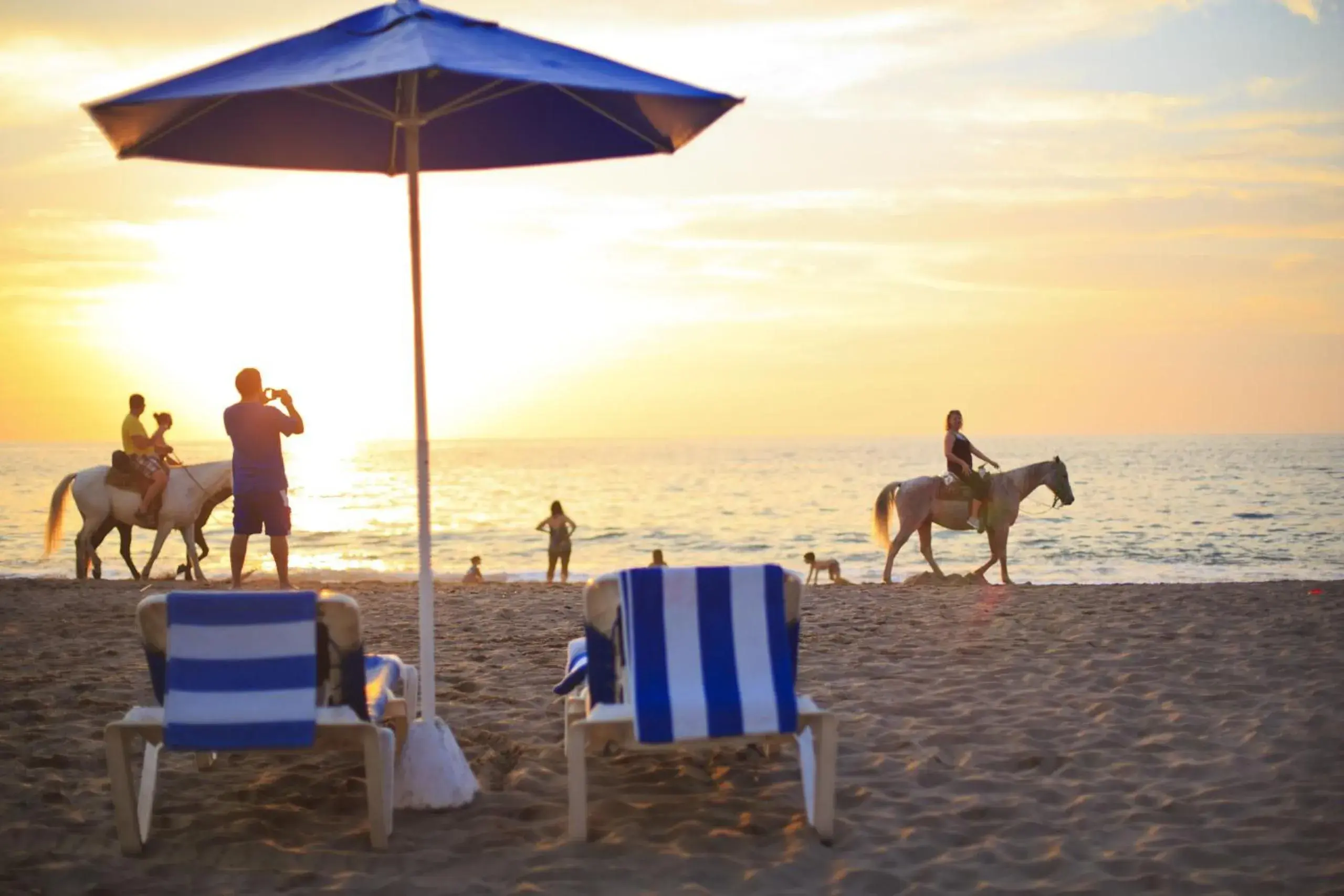 Beach in Costa Club Punta Arena