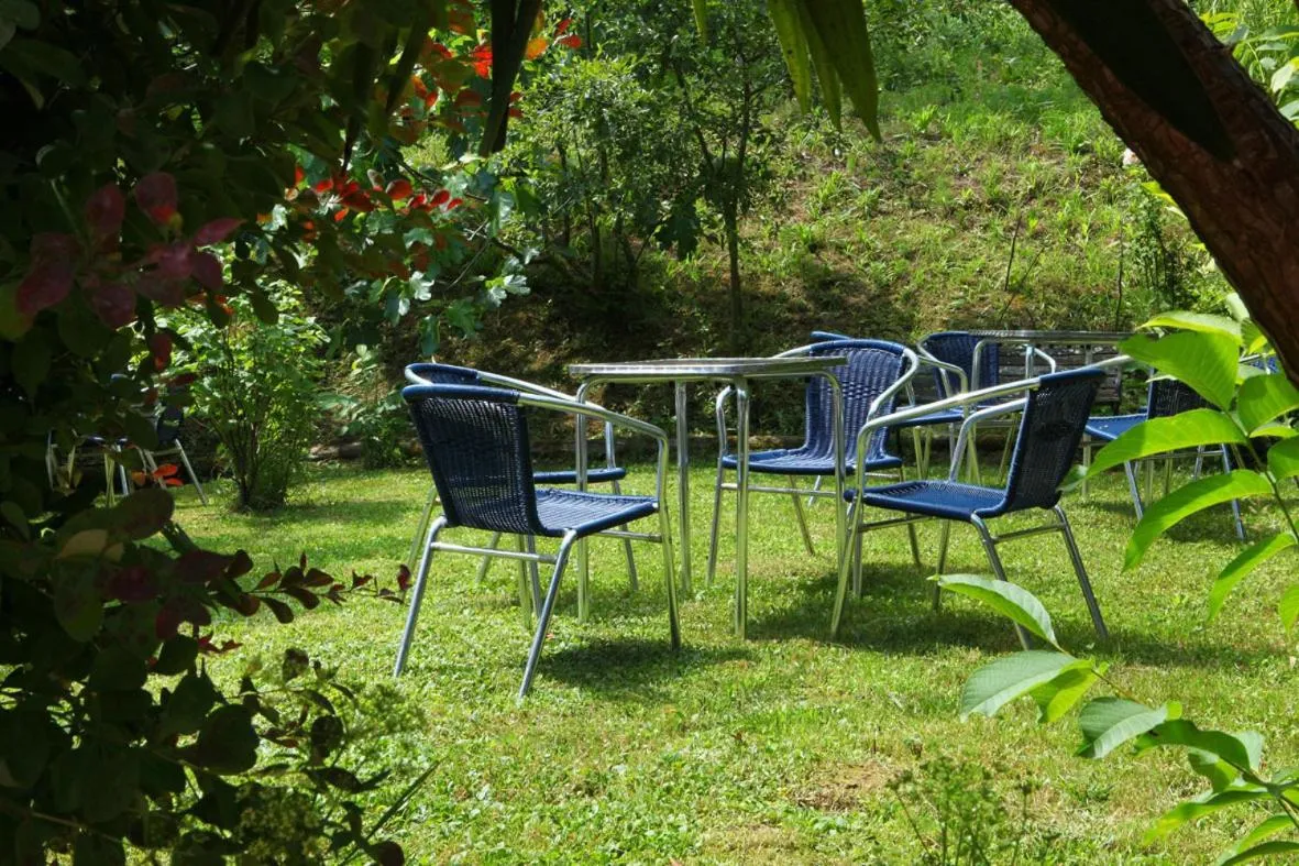 Garden in Hotel Metrokua