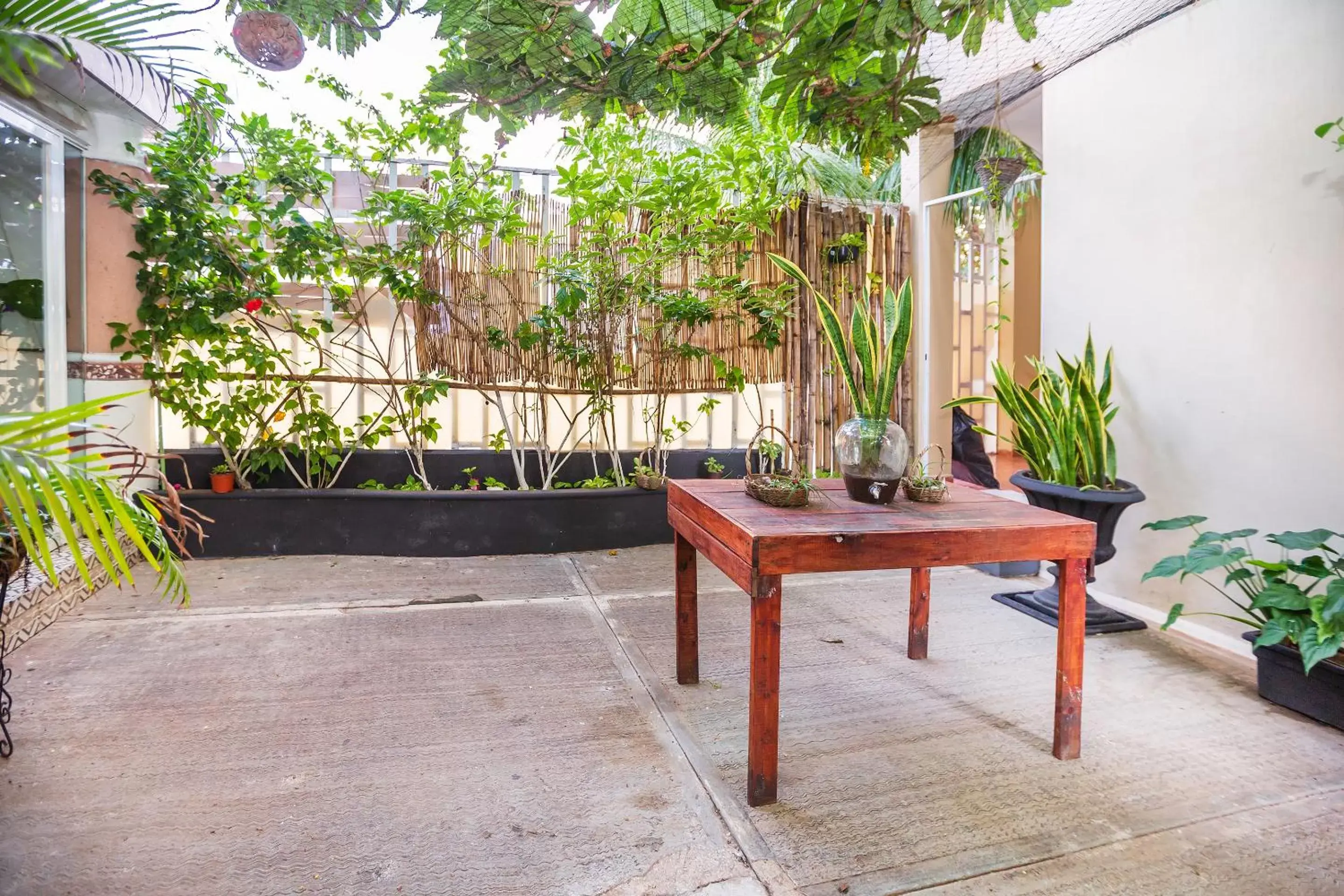 Patio in Hotel Kiin Cozumel