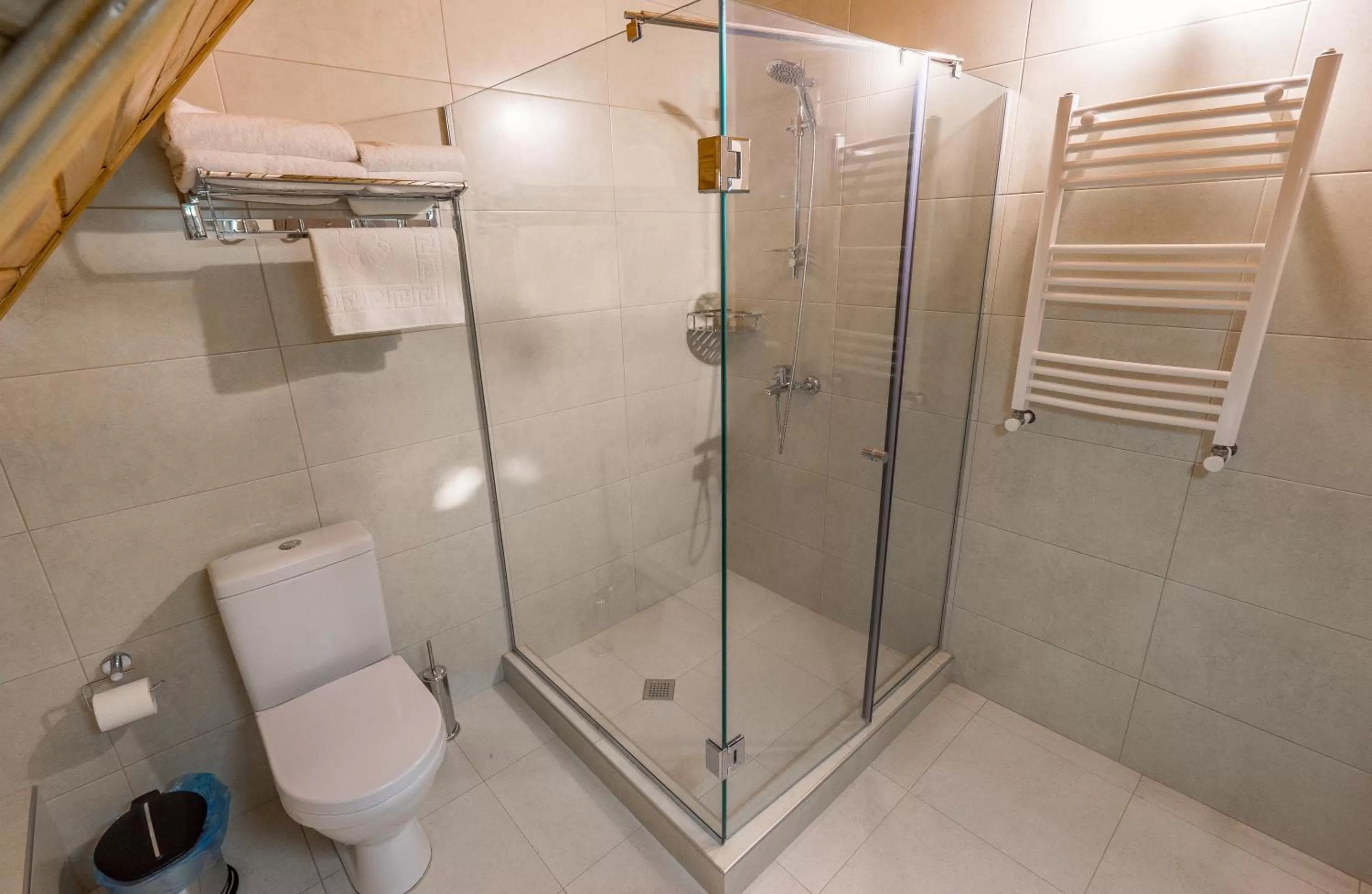 Shower in Hotel Imperial House