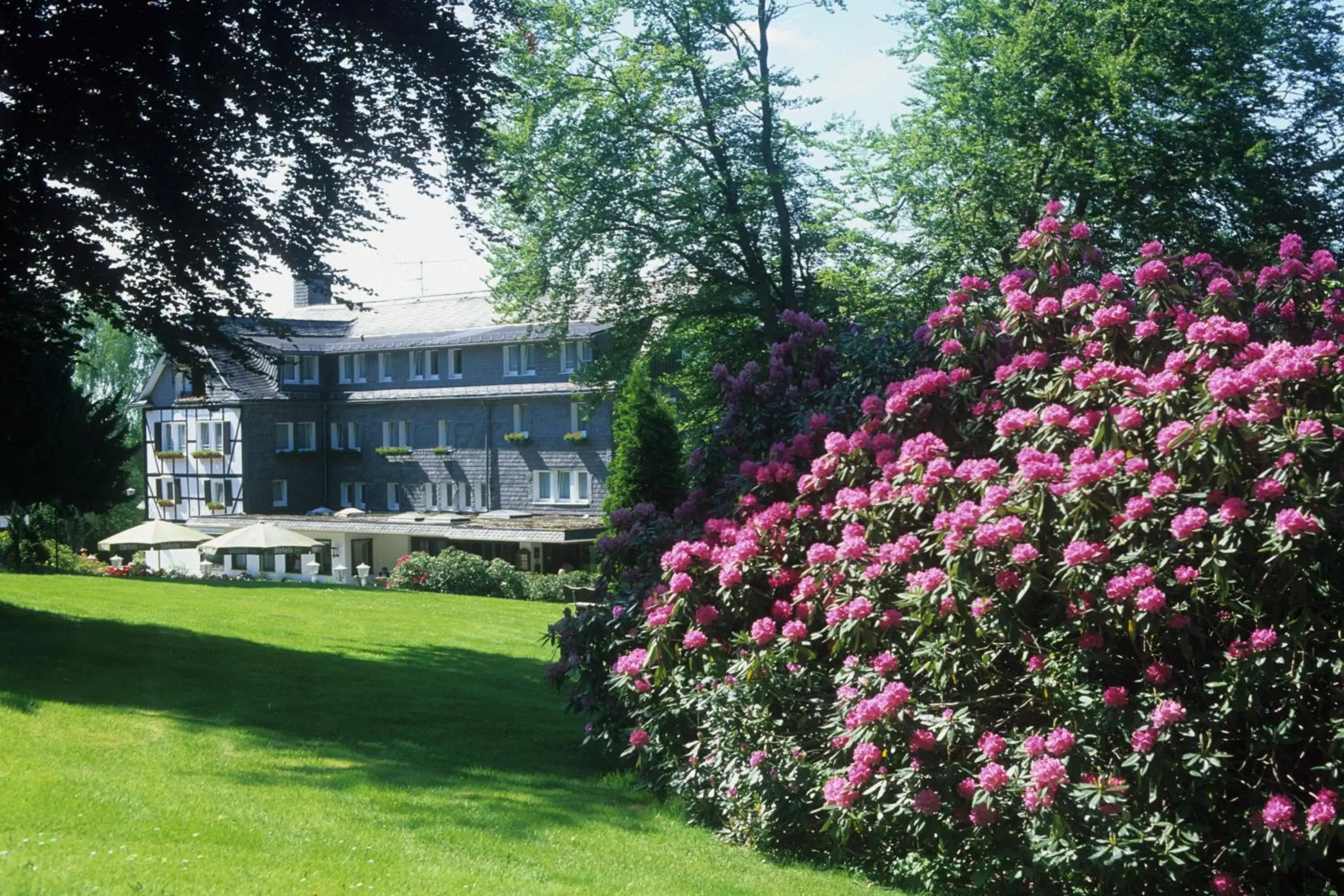 Facade/entrance, Property Building in Hotel Jagdhaus Wiese