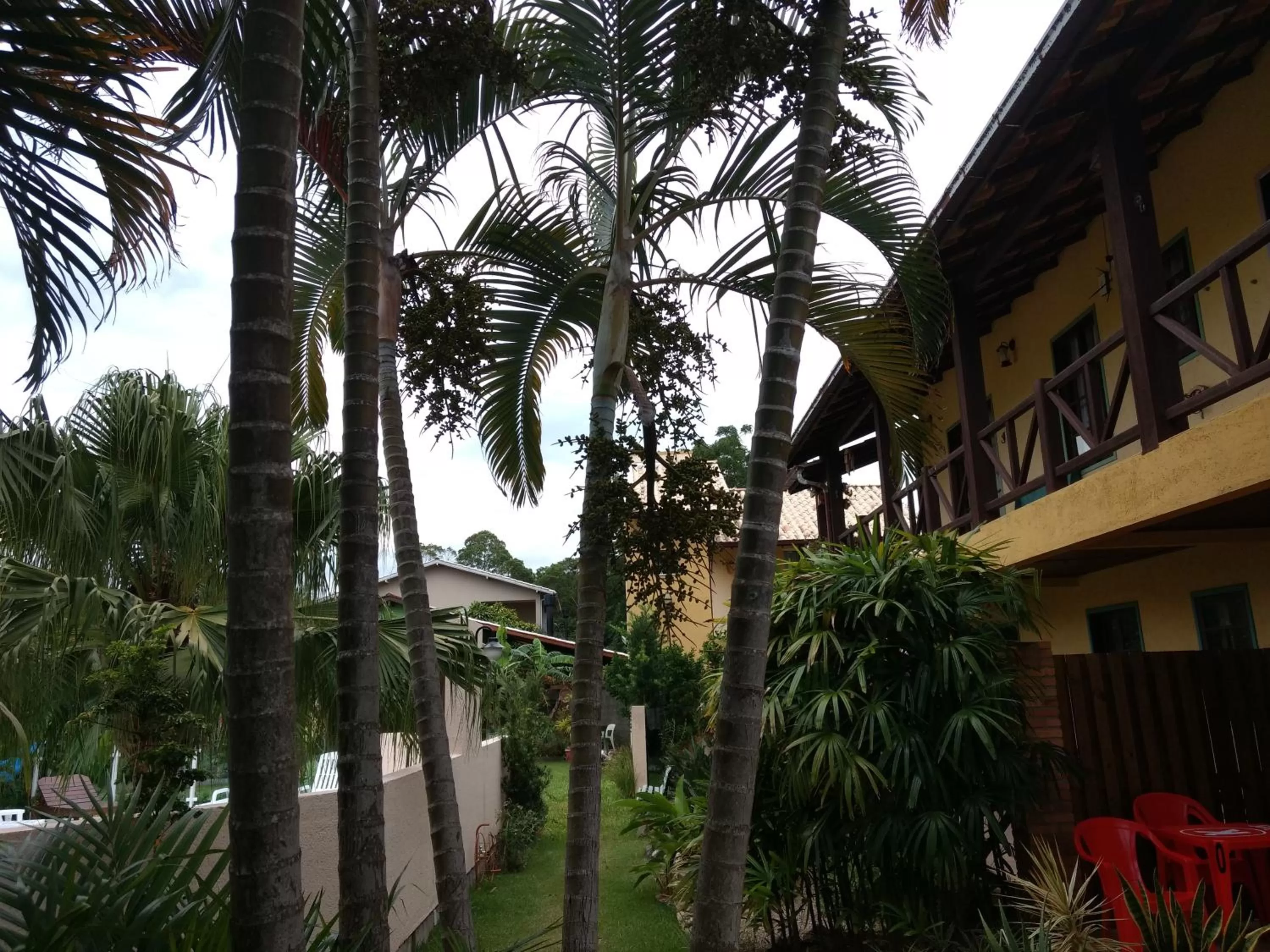 Garden view in Pousada Santa Genoveva campeche