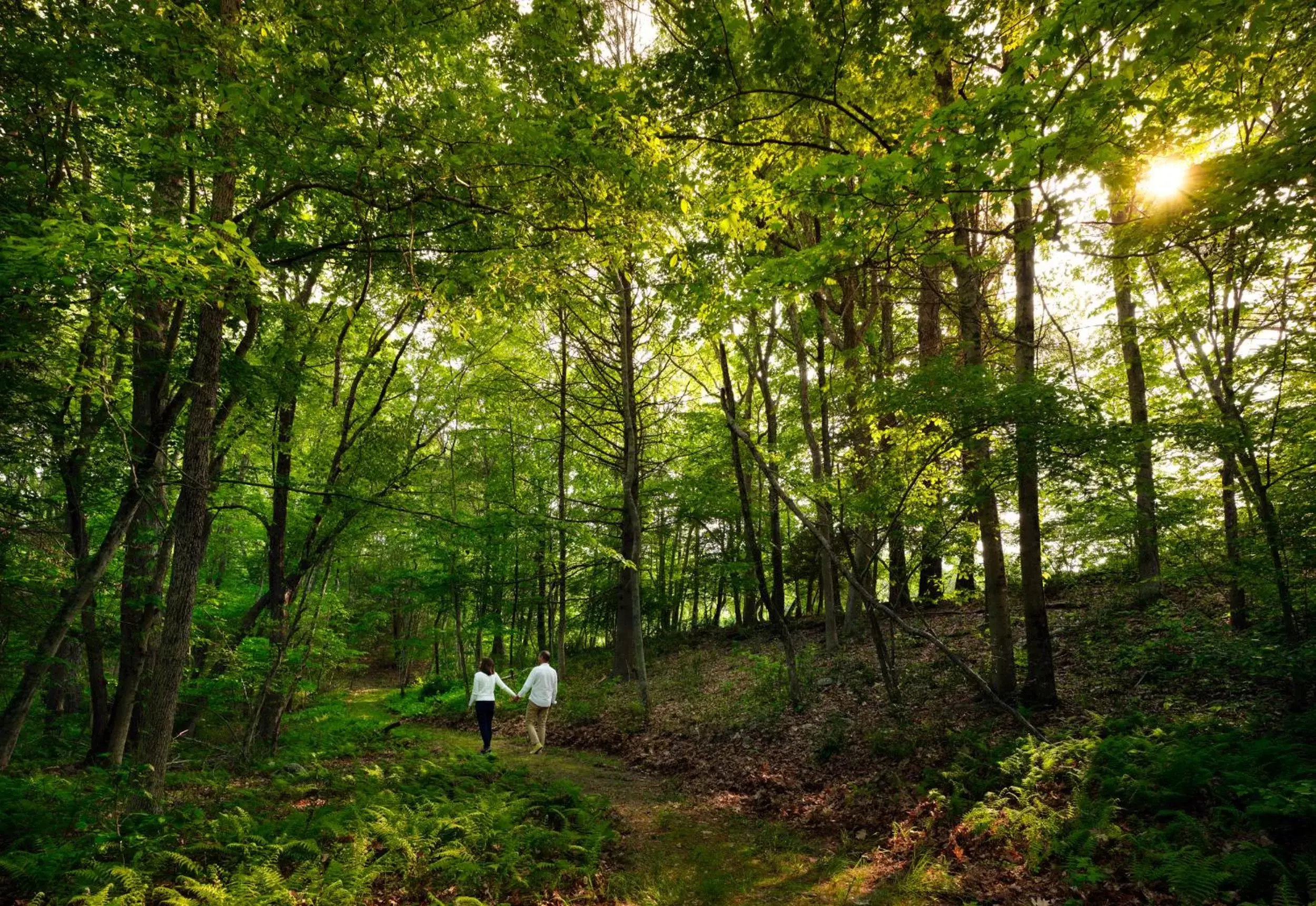 Hiking in Abbey's Lantern Hill Inn