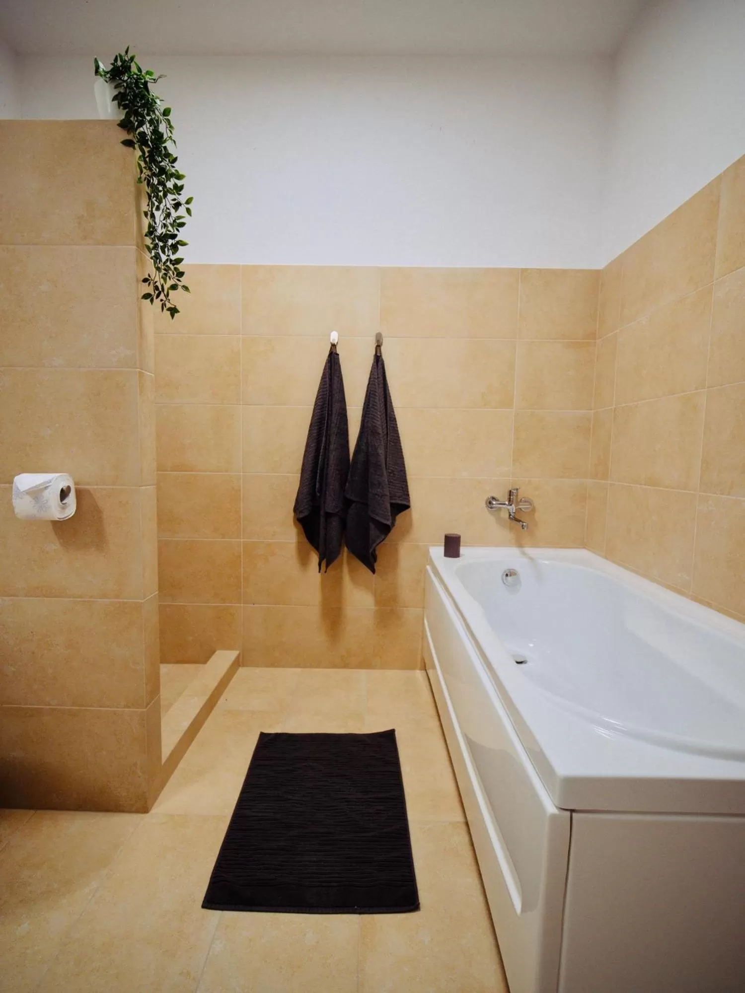 Shower in Zakarias Apartments