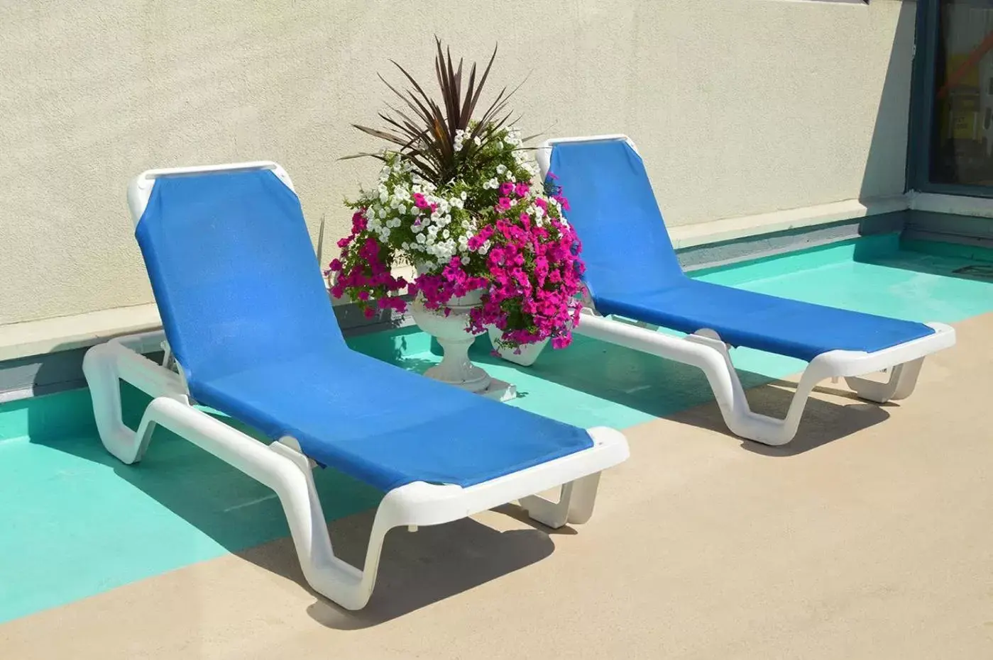 sunbed in Boardwalk Resorts - Flagship sunbed in Boardwalk Resorts - Flagship