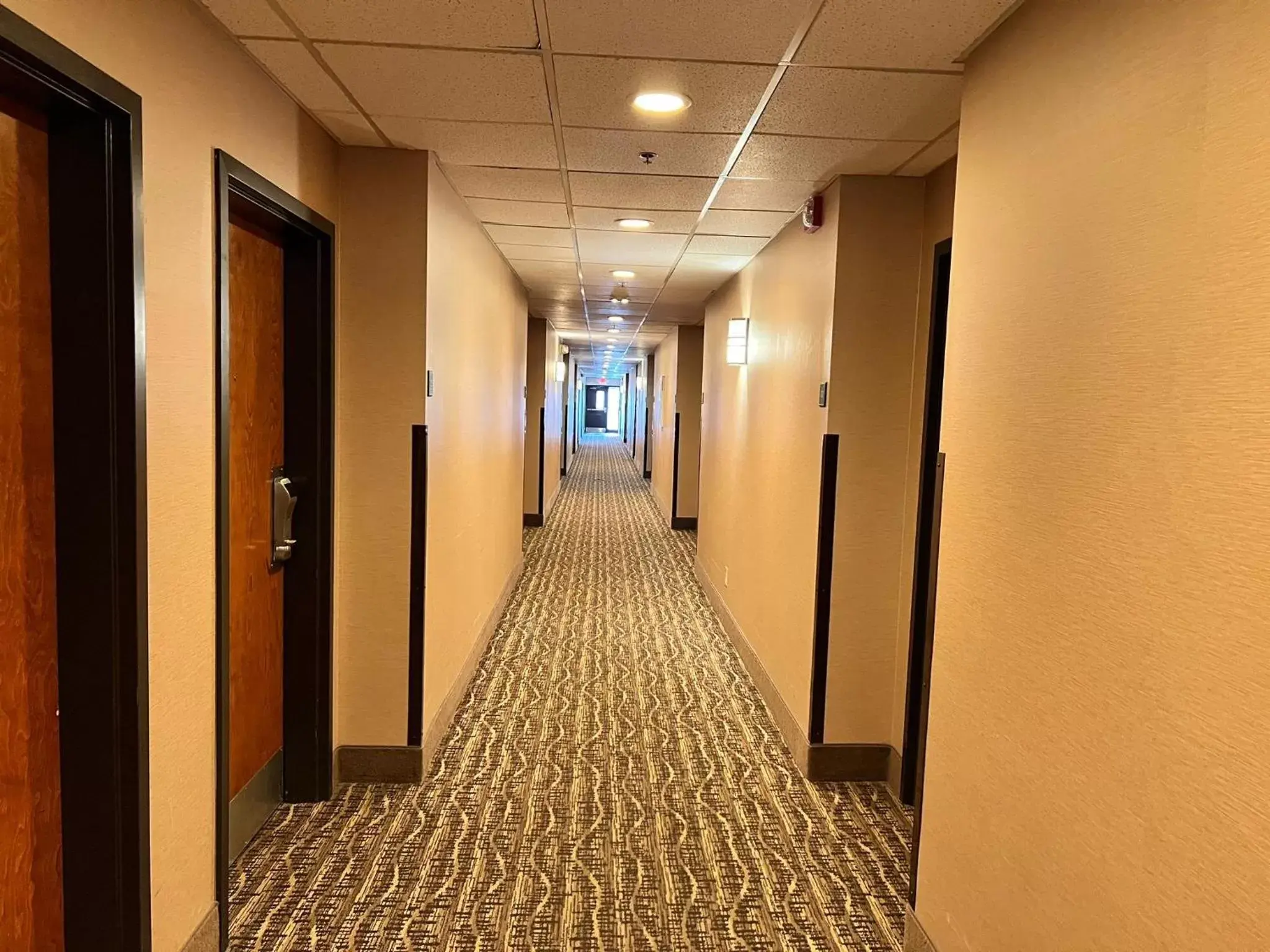 Lobby or reception in Comfort Suites Louisville East