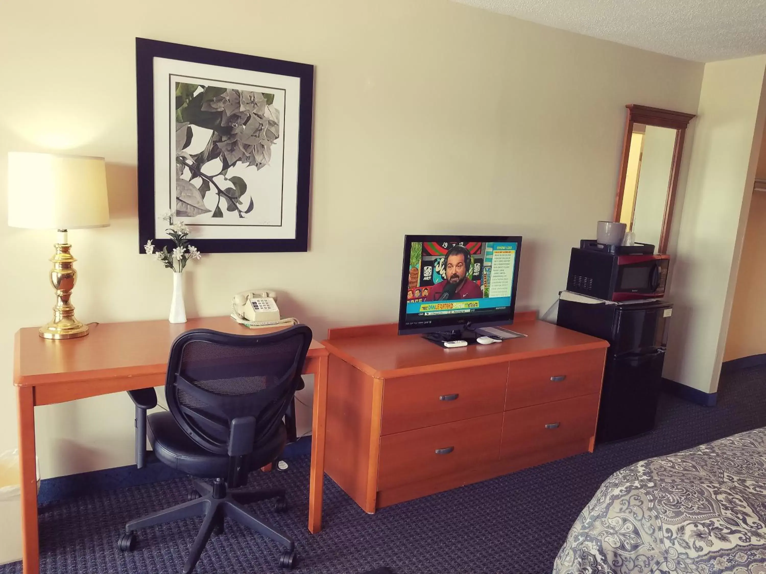 TV and multimedia, TV/Entertainment Center in SPORTSMAN's INN - Call 252-793-3095