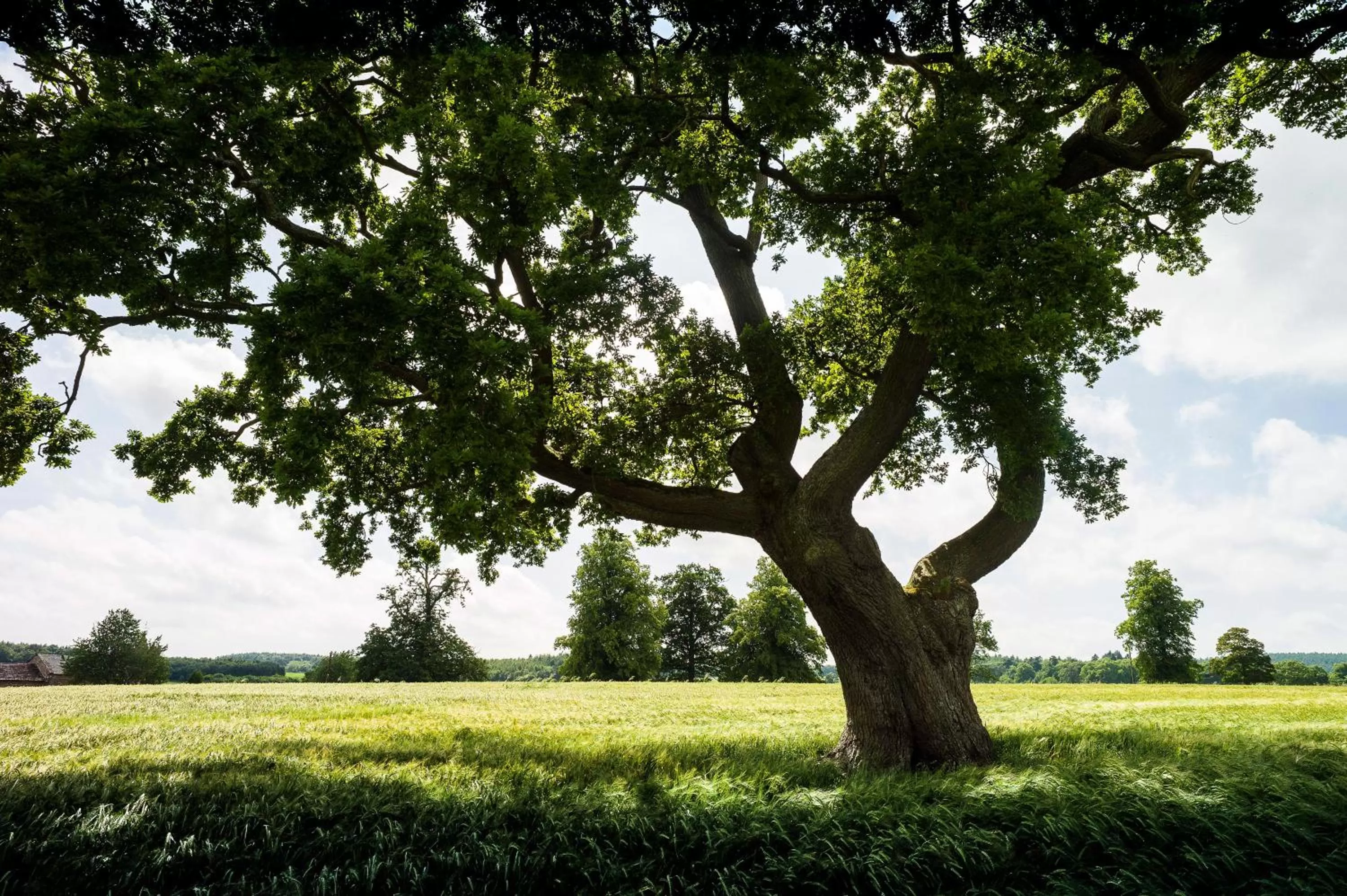 Natural landscape in Edenhall Country Hotel