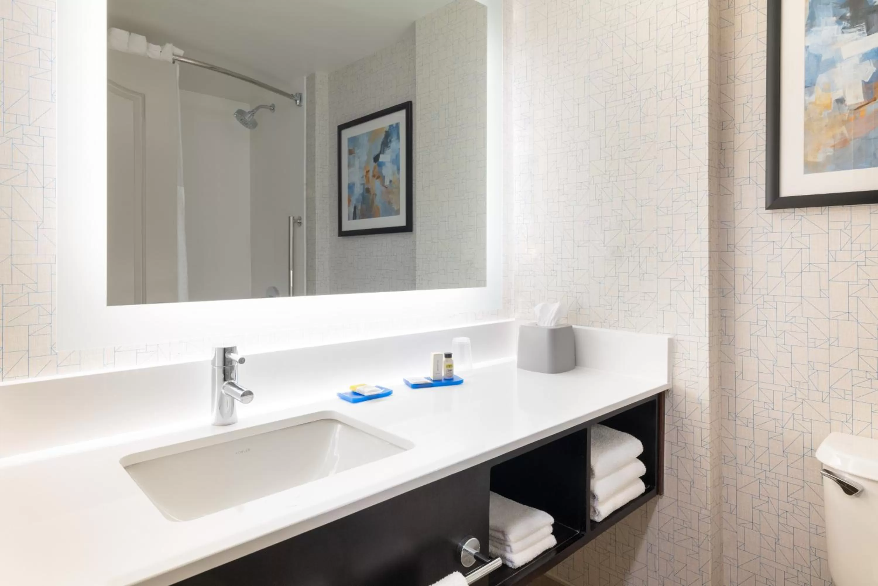 Bathroom in Holiday Inn Express & Suites Boston - Cambridge by IHG