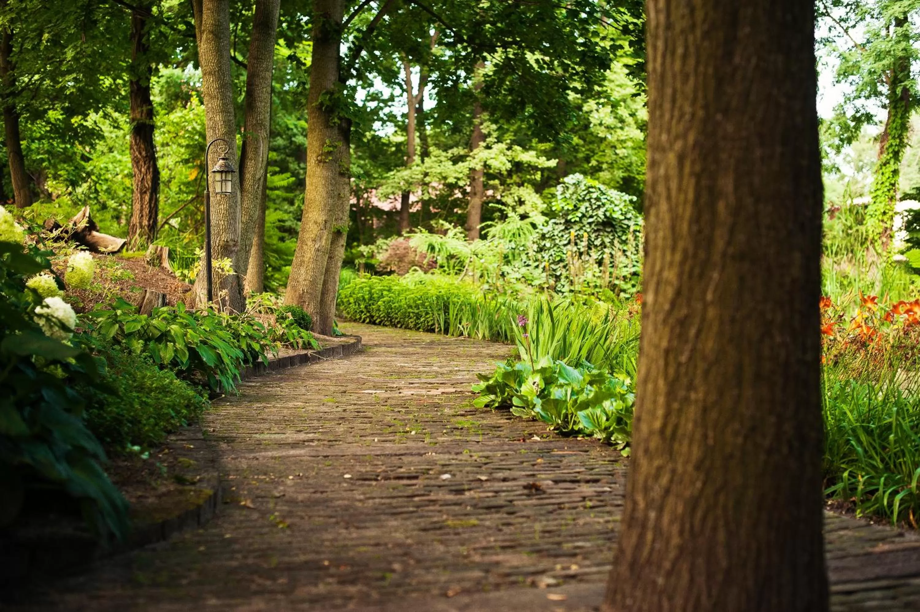 Garden in ForRest Hotel & Restaurant