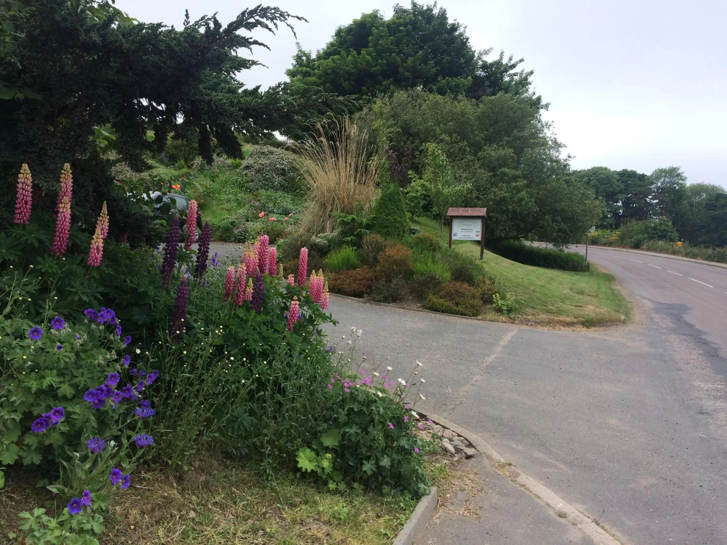 Facade/entrance in Deveron Lodge Guest House