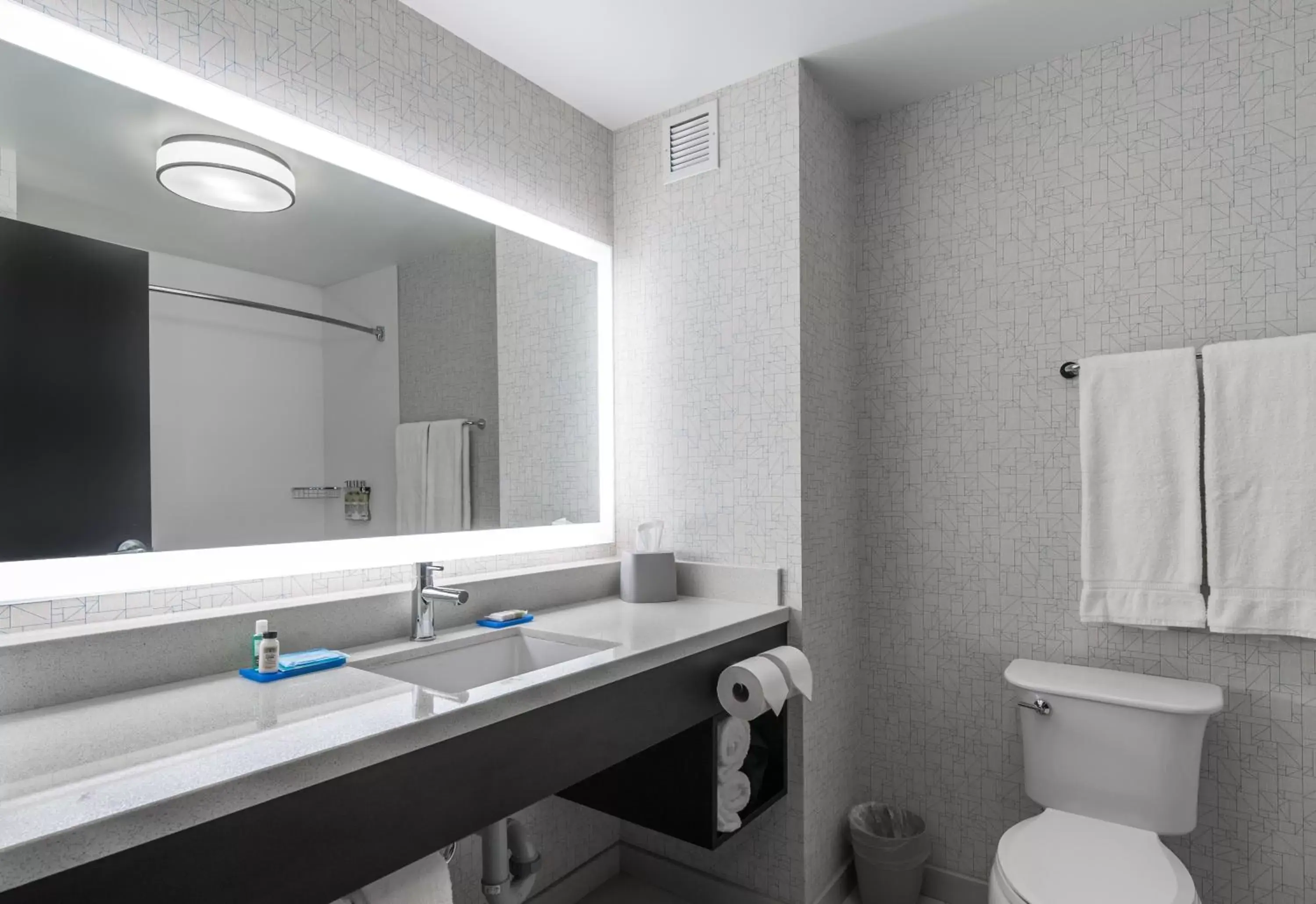 Bathroom in Holiday Inn Express Hotel & Suites Saskatoon, an IHG Hotel