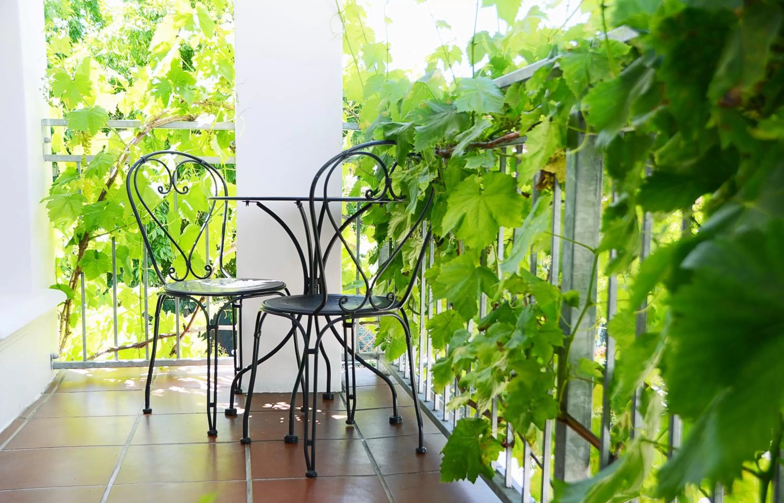 Balcony/Terrace in Penelope's Stellenbosch