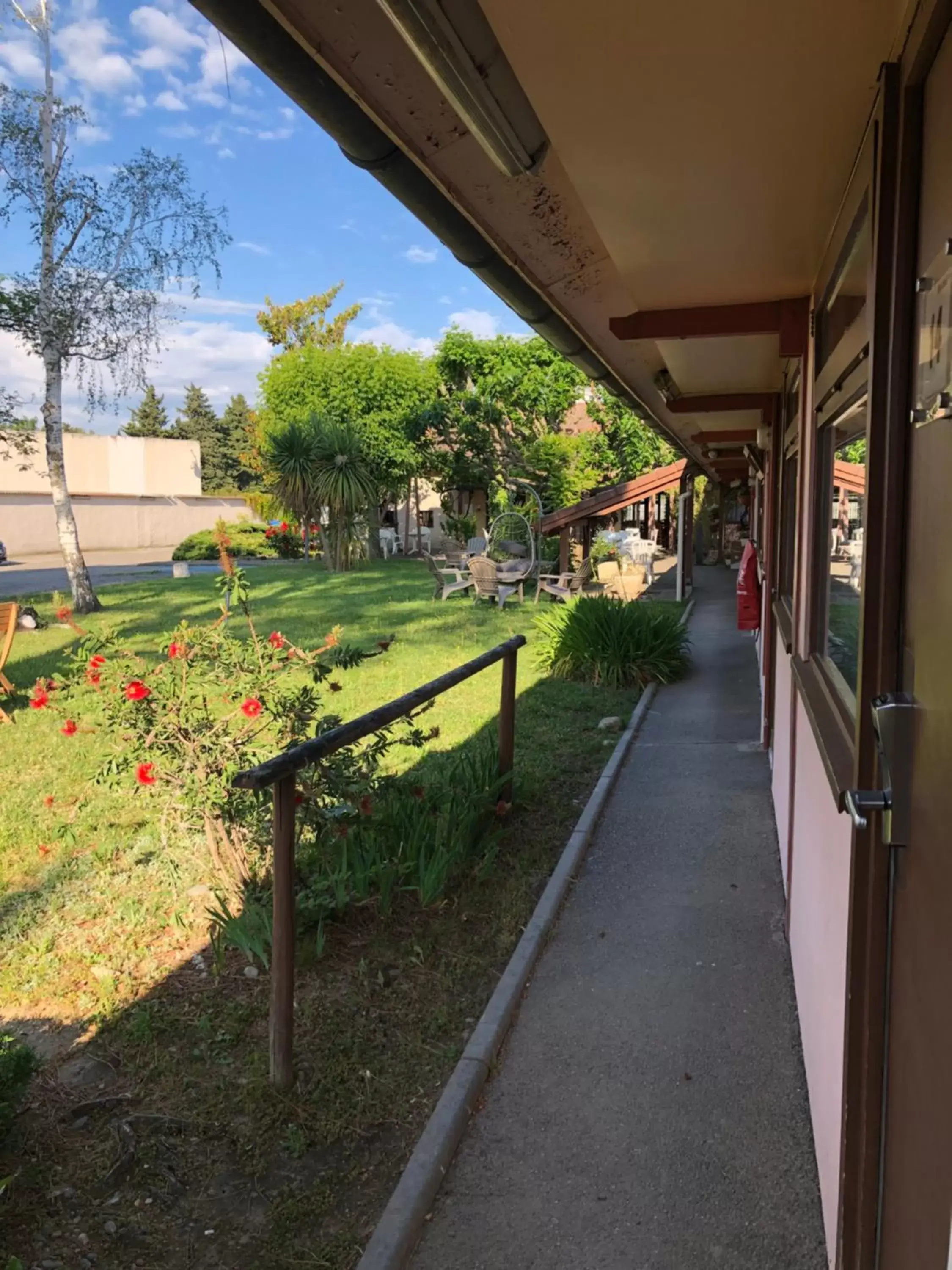 Garden view in Hotel Cristol