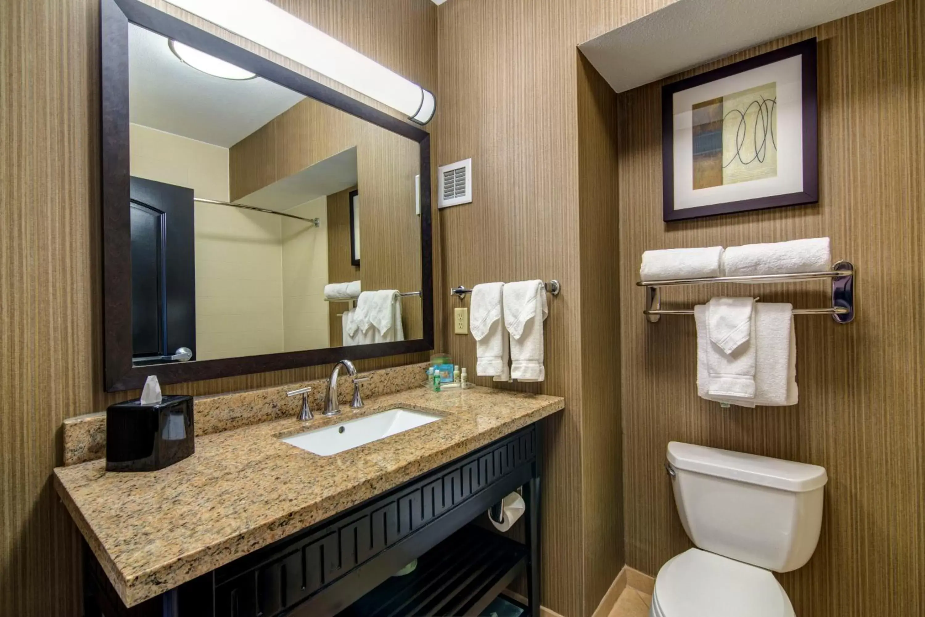 Bathroom in Holiday Inn Arlington Northeast, an IHG Hotel