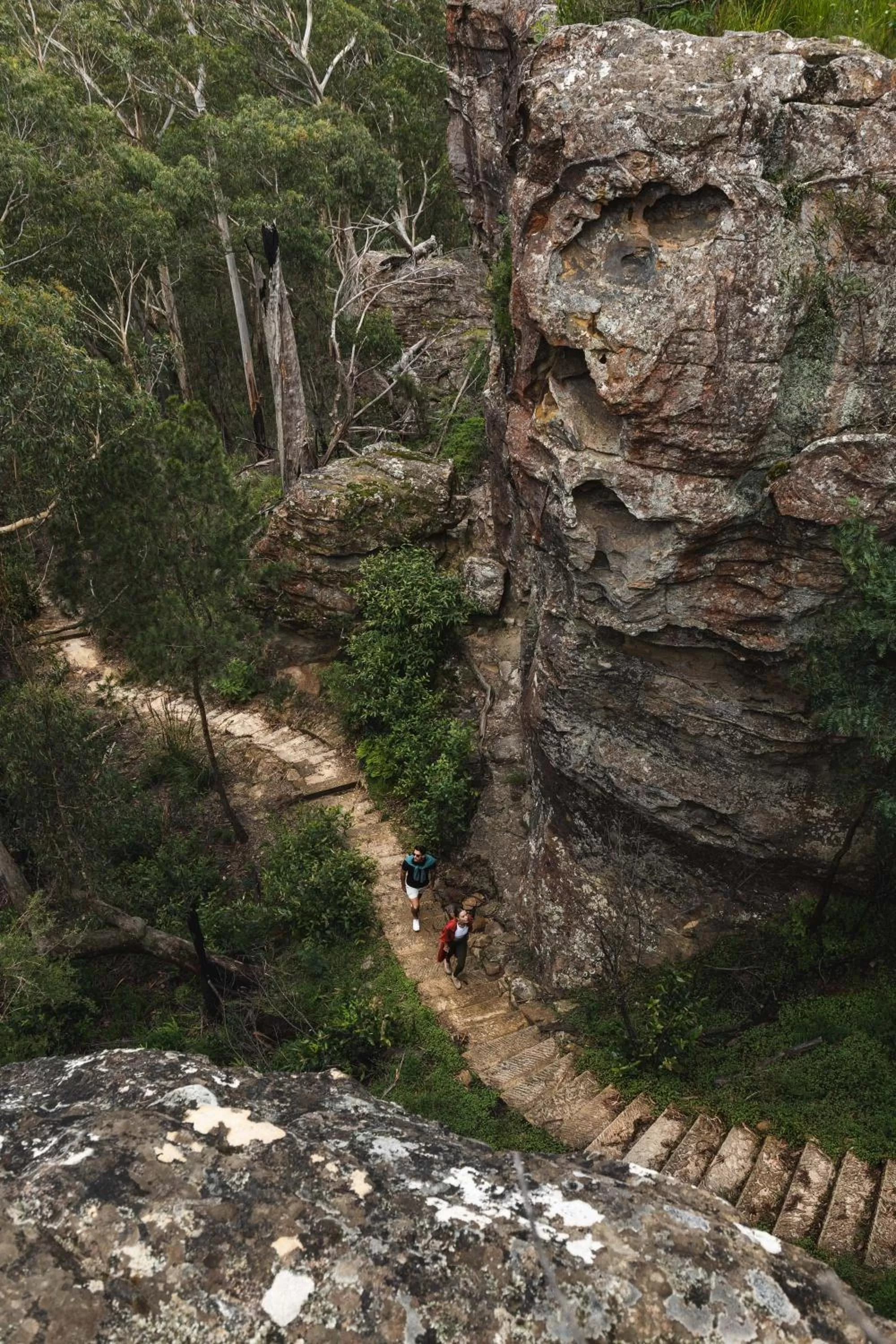 Natural landscape in Chalets at Blackheath