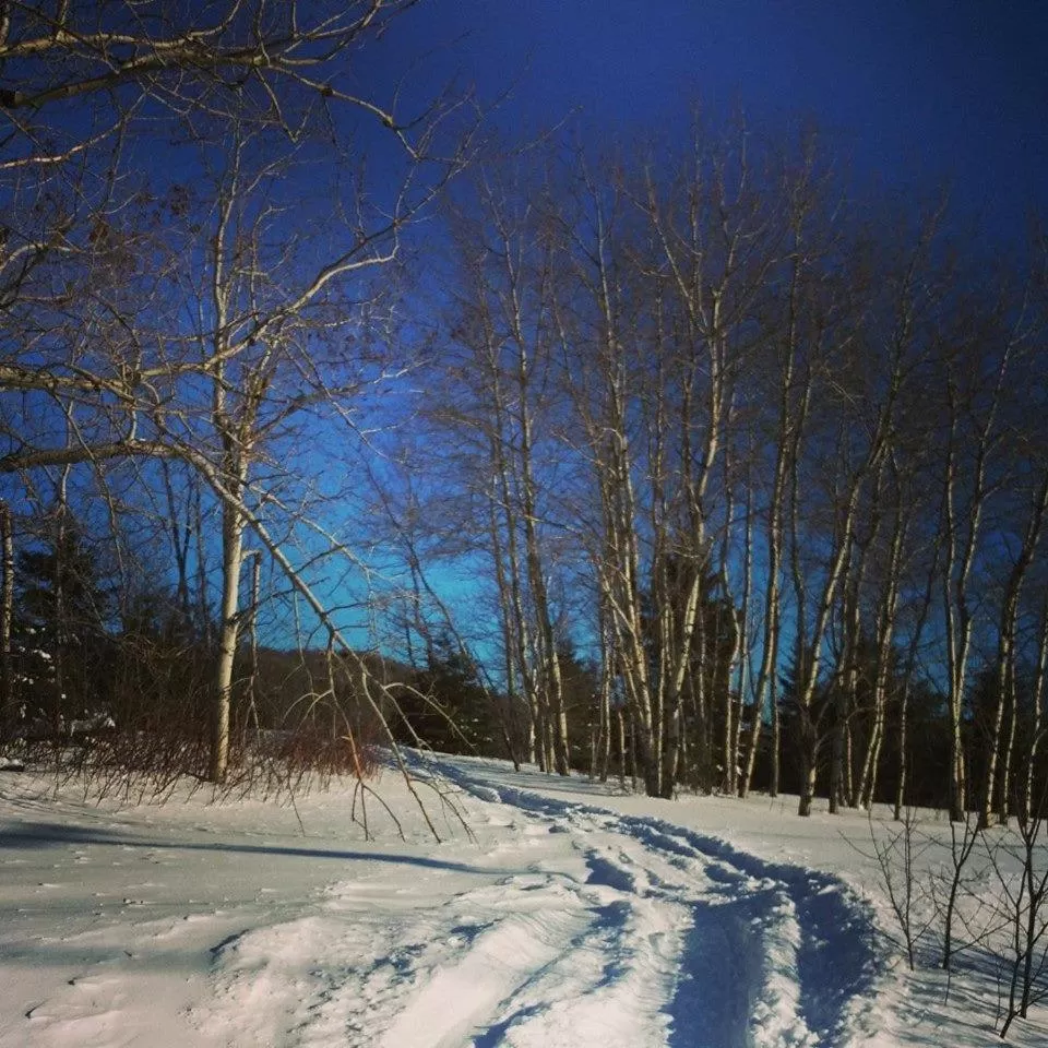 Activities in Spillover Motel and Inn