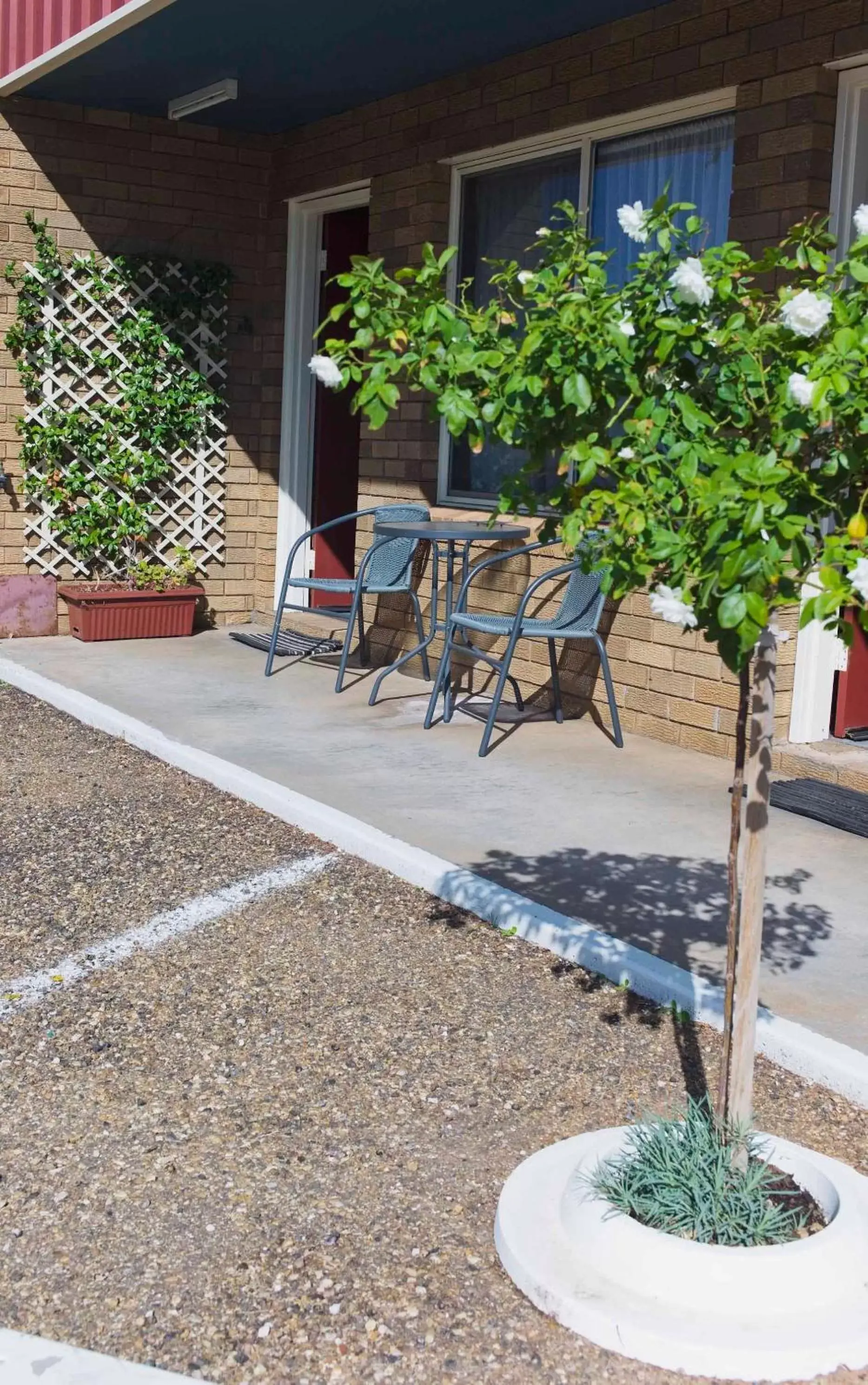 Patio in Camellia Motel