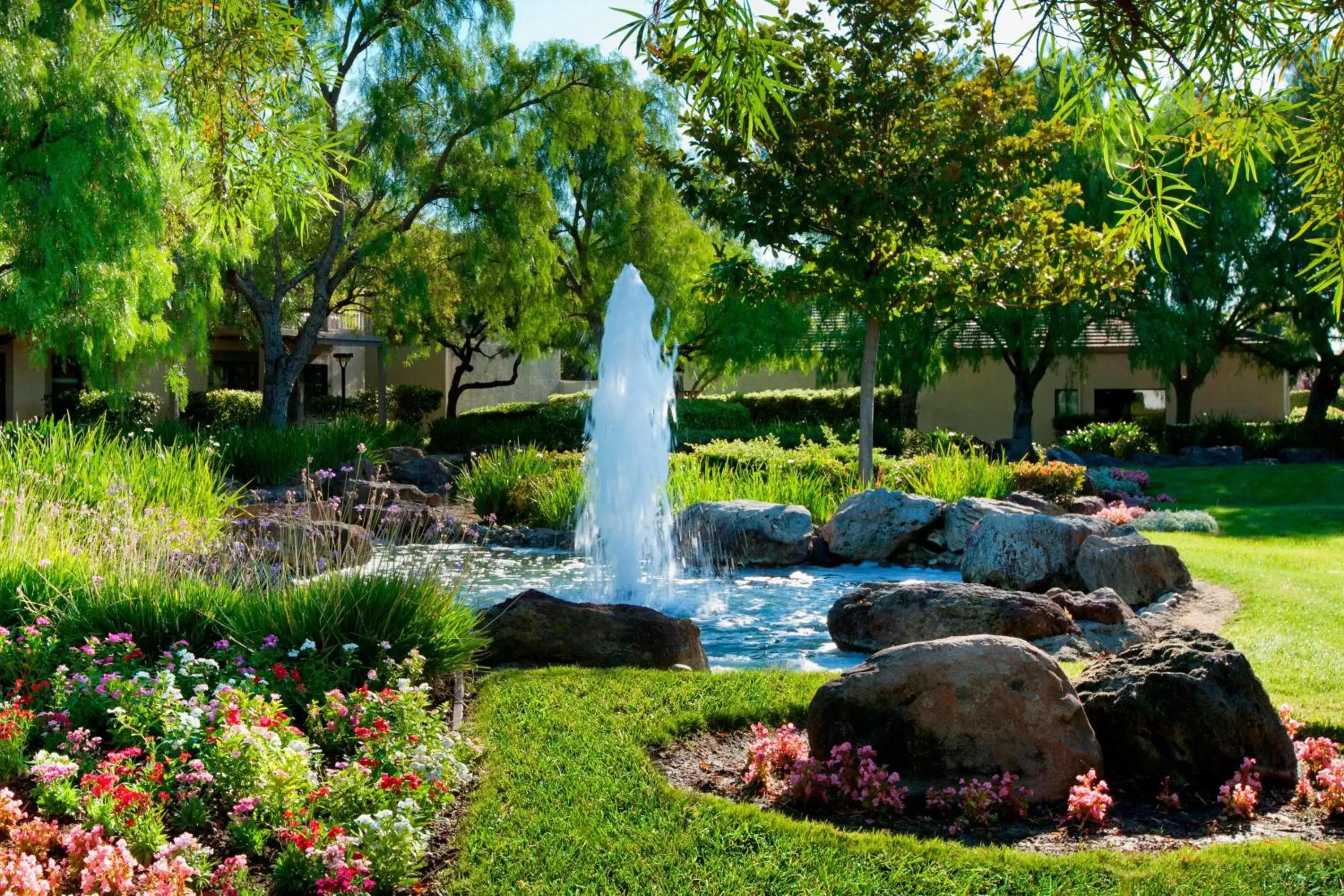 Property building, Garden in Four Points by Sheraton - Pleasanton