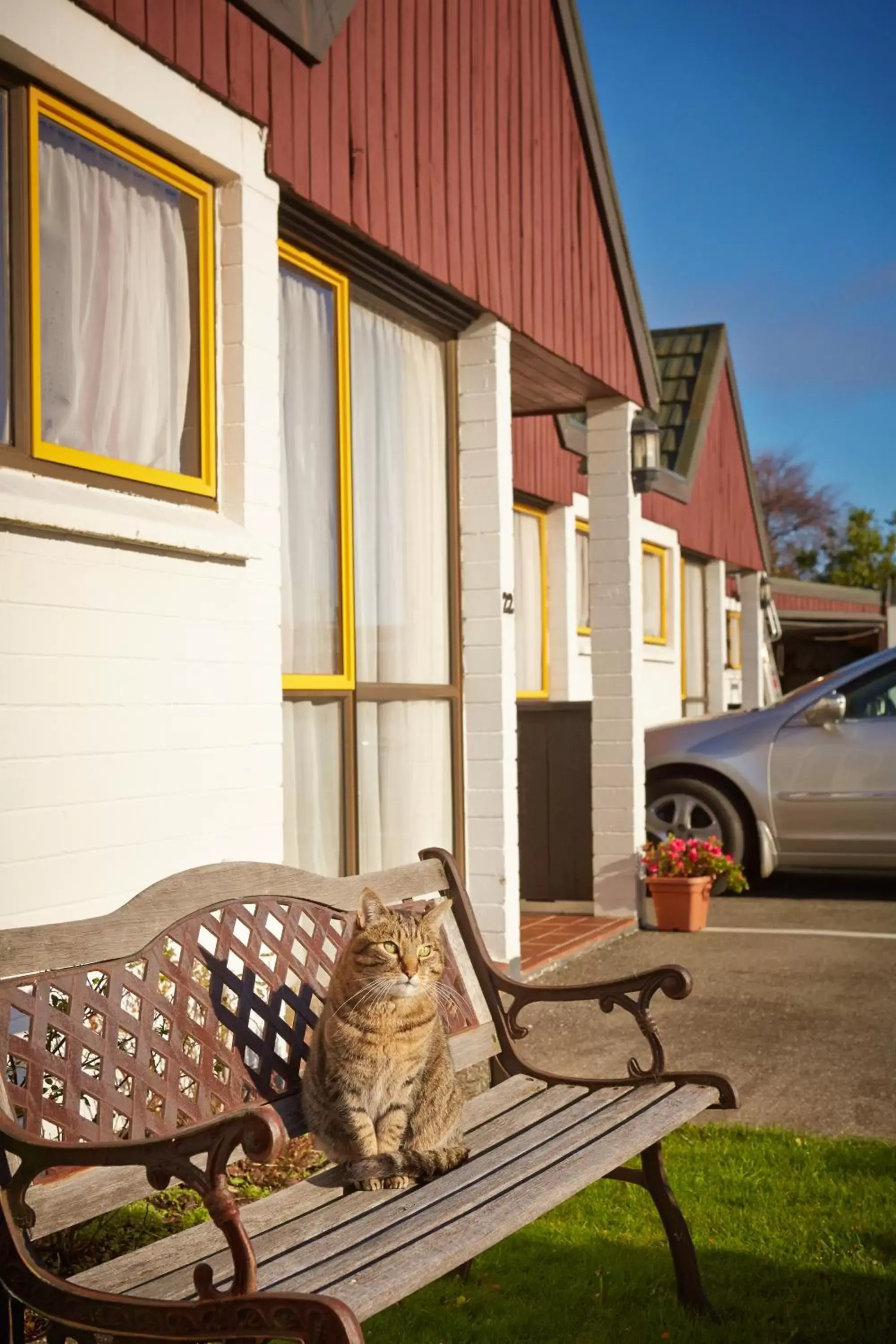 Pets in Bavarian Motel