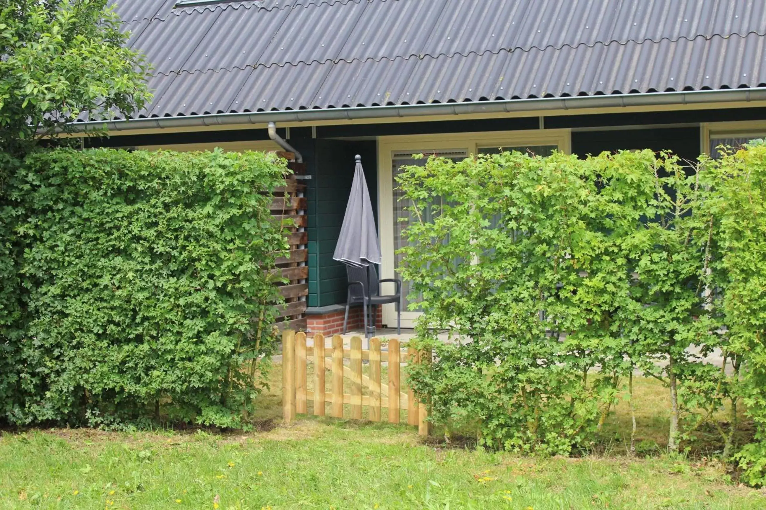 Garden, Property Building in Horsetellerie Rheezerveen