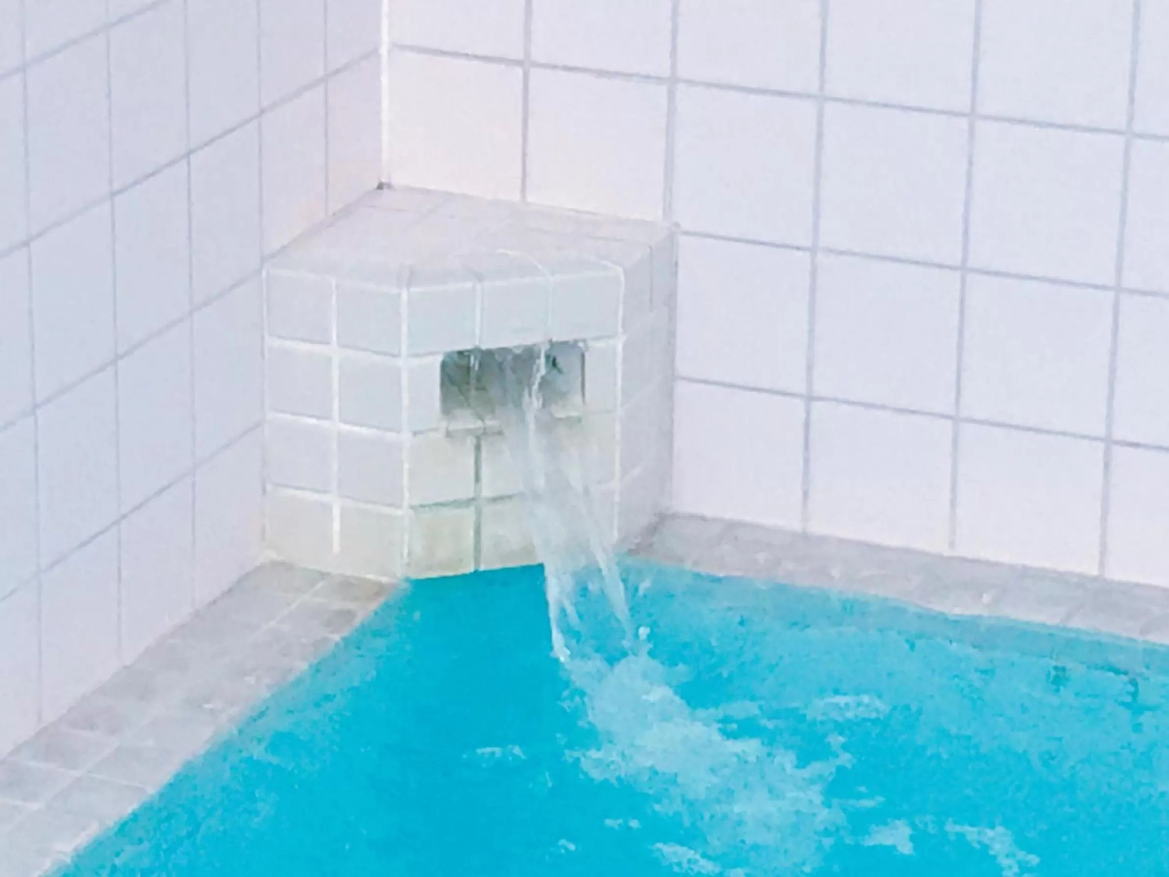 Public Bath in Kagoshima Daiichi Hotel Kishaba