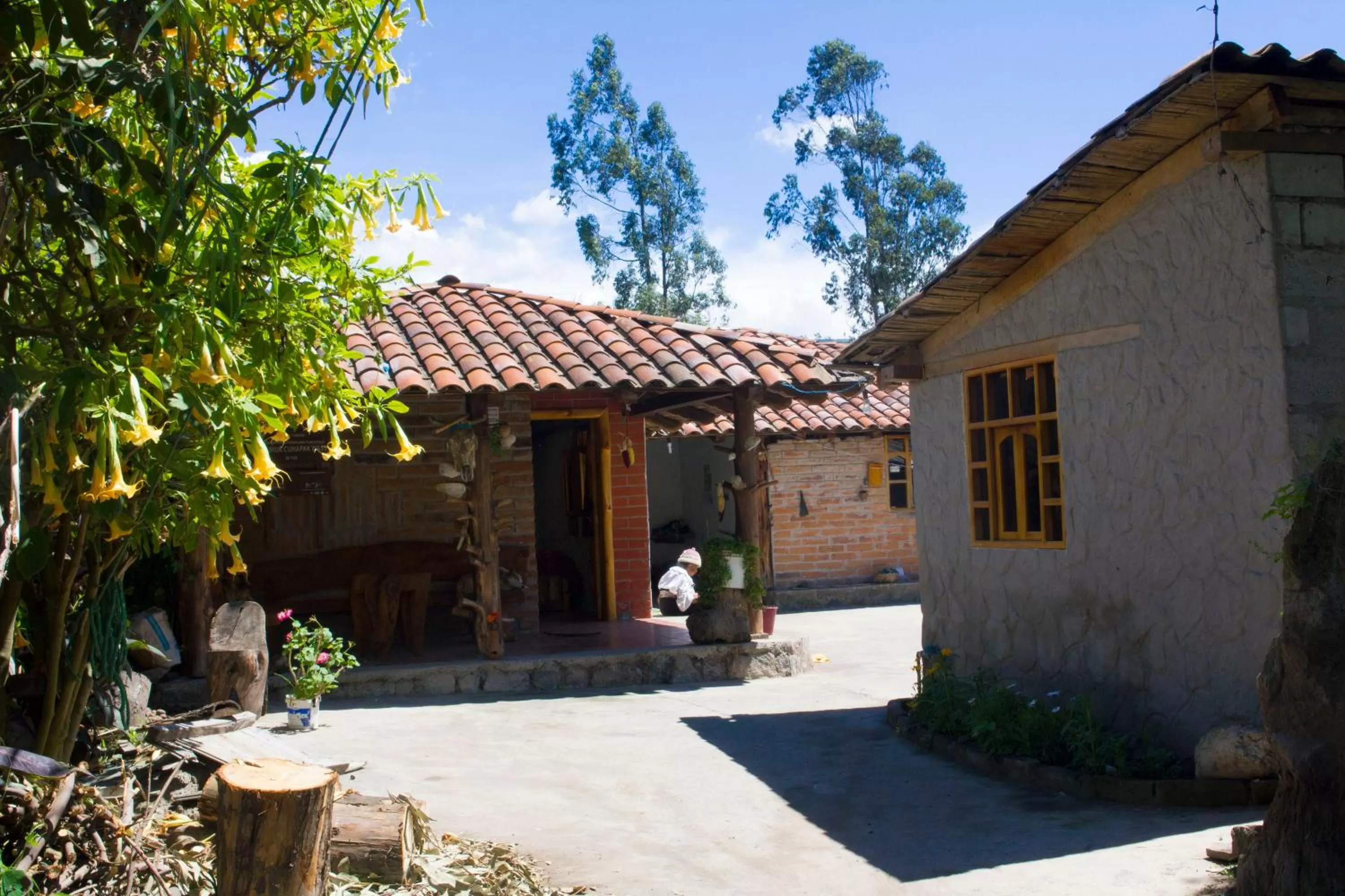 Property building in Kallpa Wasi