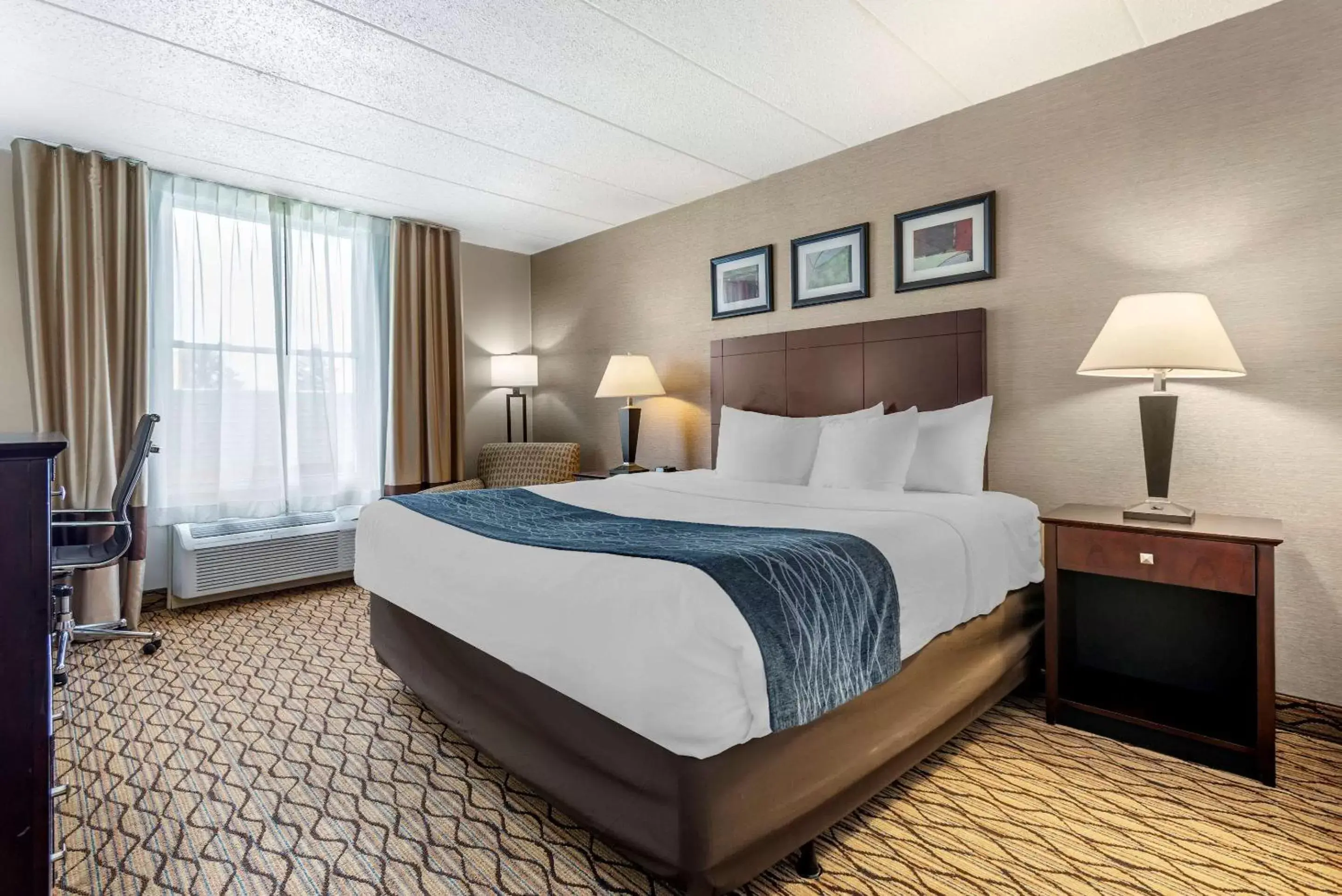 Photo of the whole room, Bed in Comfort Inn & Suites Glen Mills - Concordville