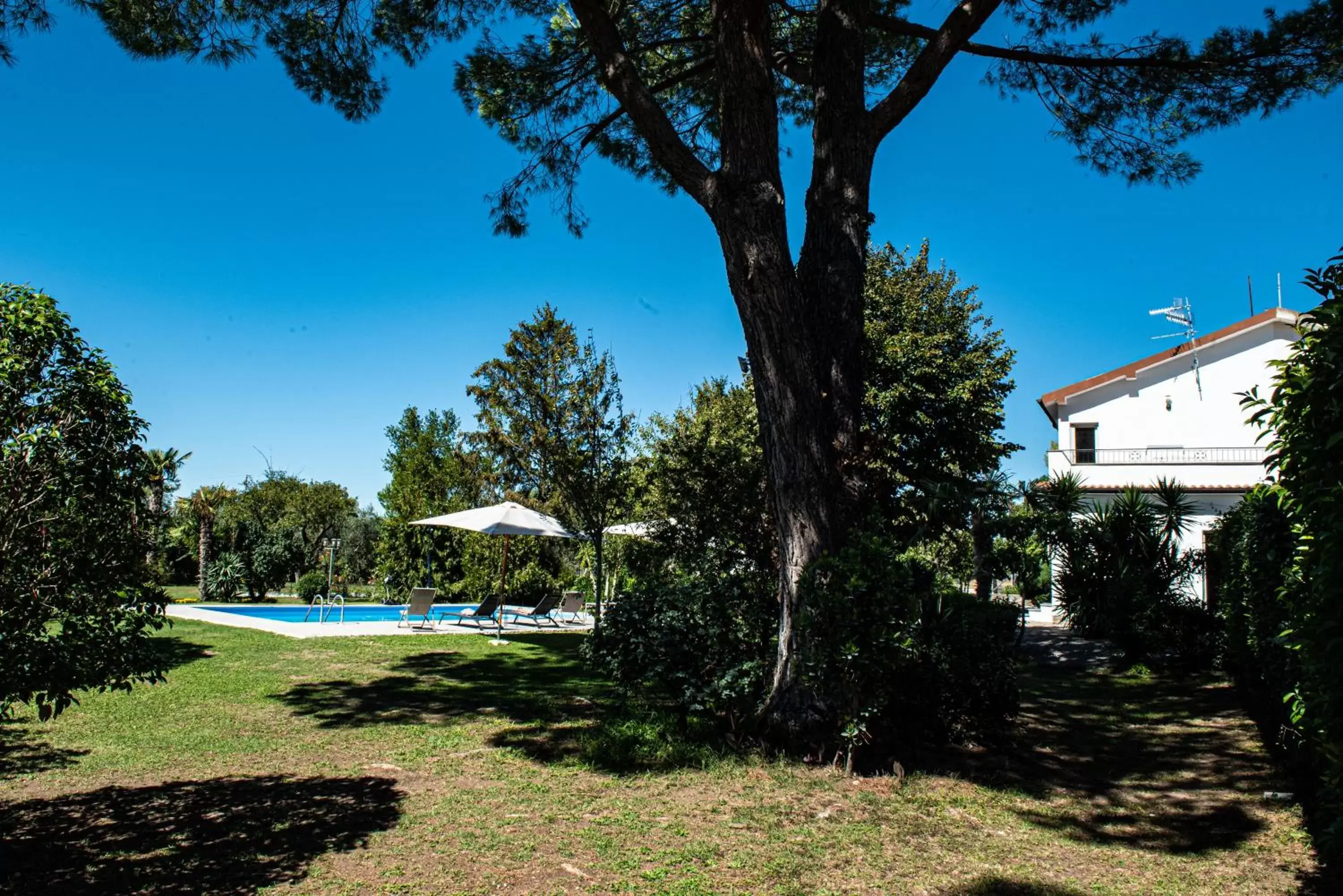 Garden, Swimming Pool in Terre Etrusche Guest House