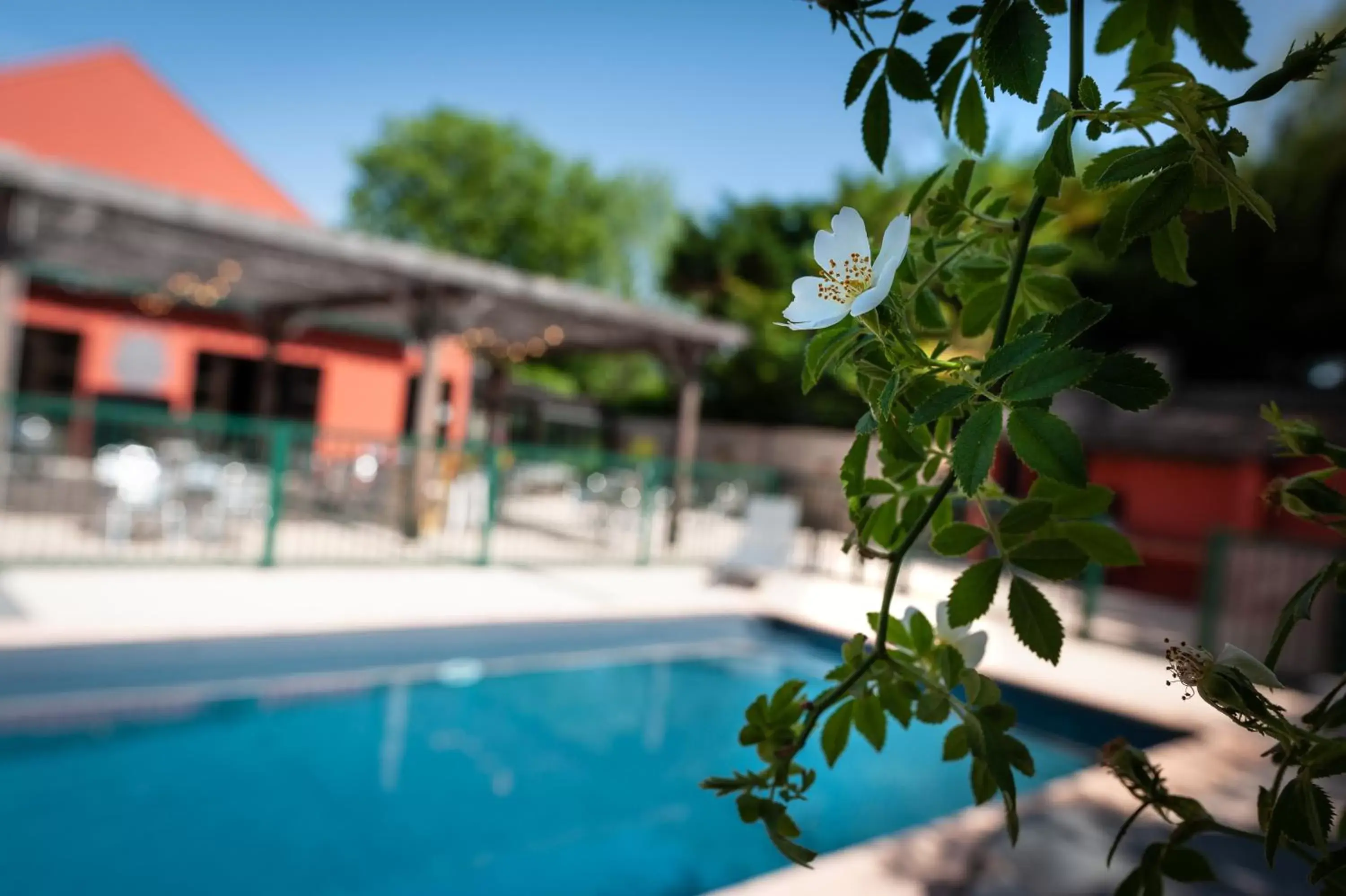 Swimming Pool in Campanile Beaune