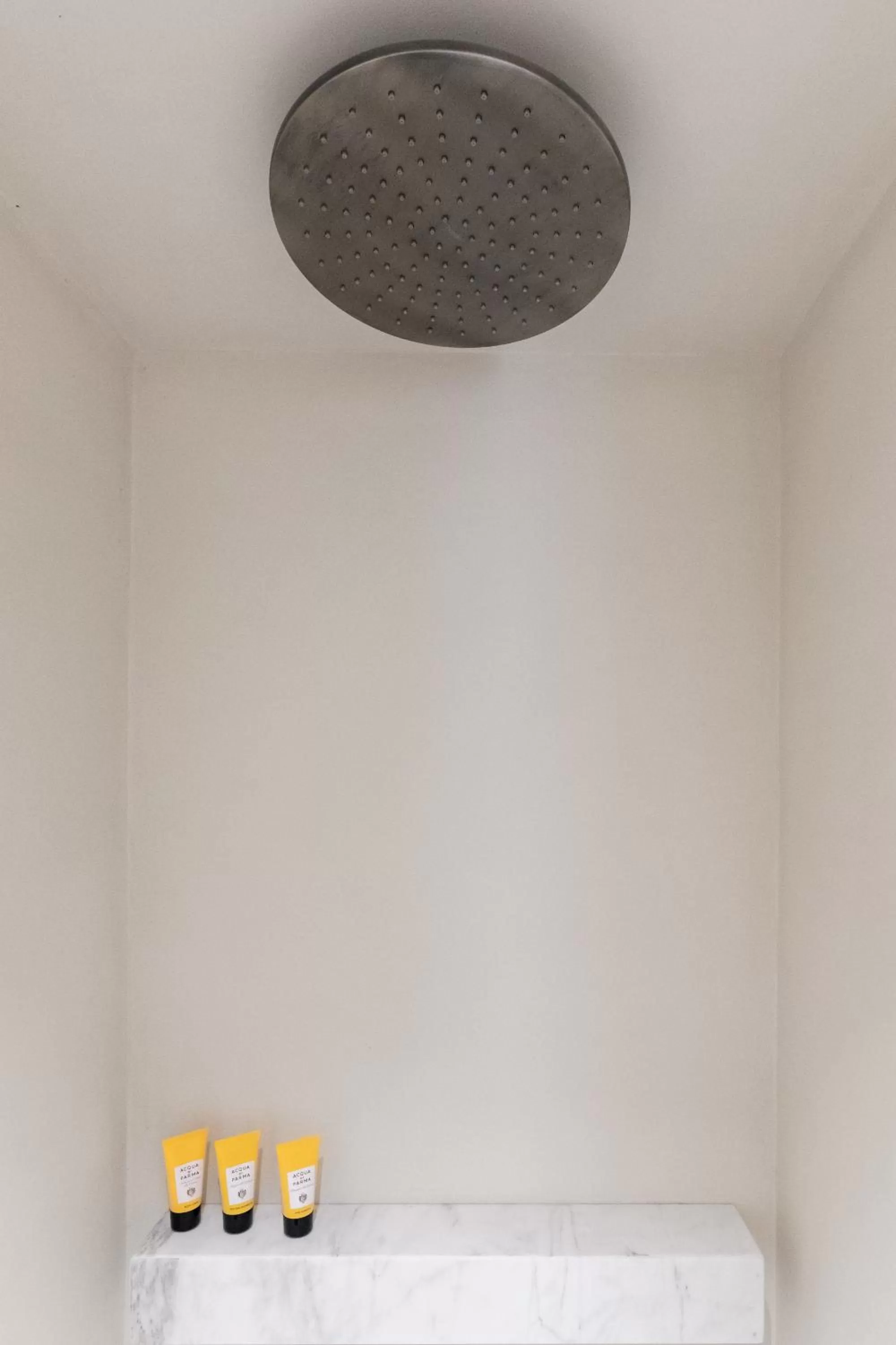 Bathroom in Hotel Scenario