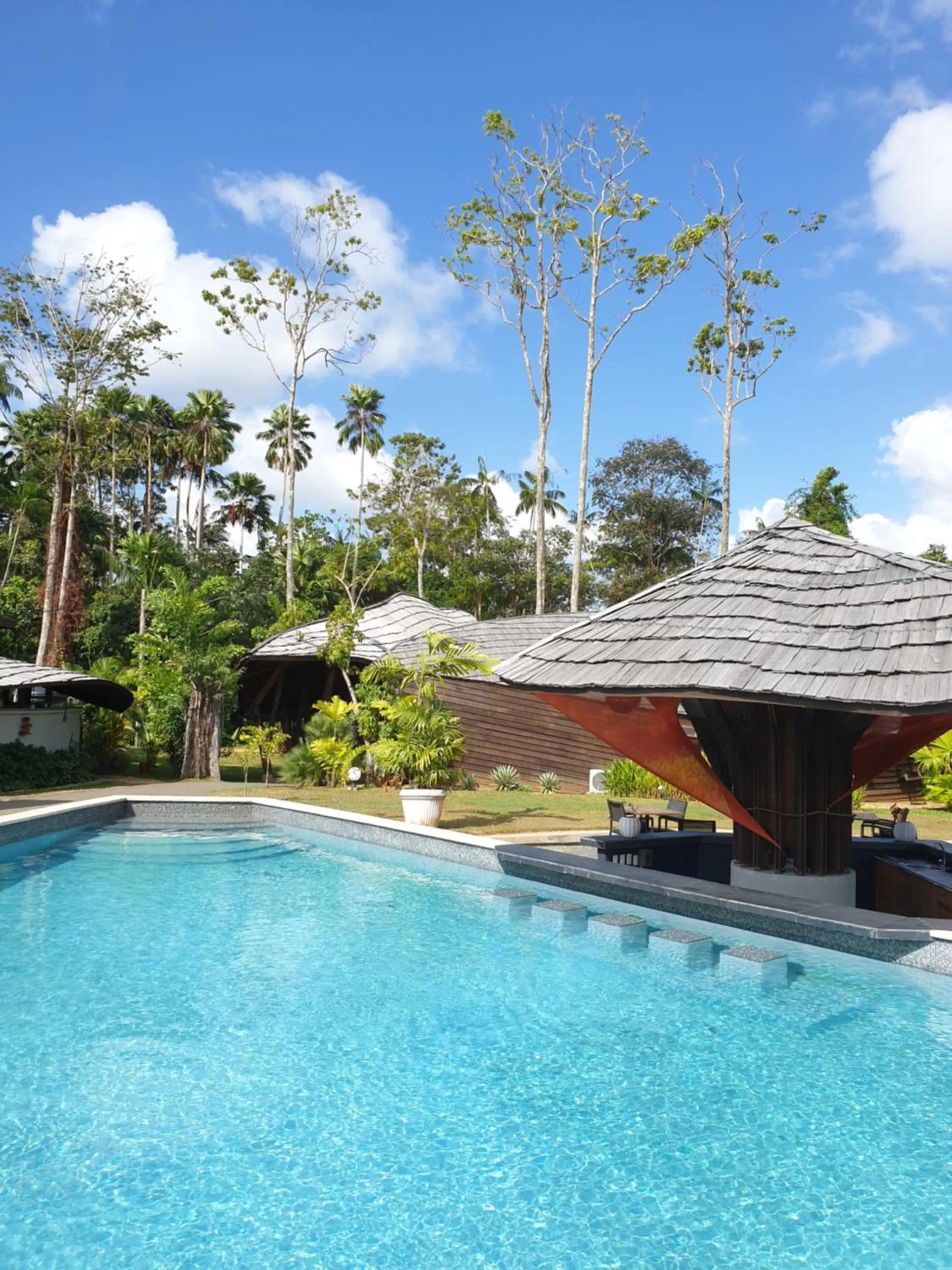 Swimming pool in Houttuyn Wellness River Resort