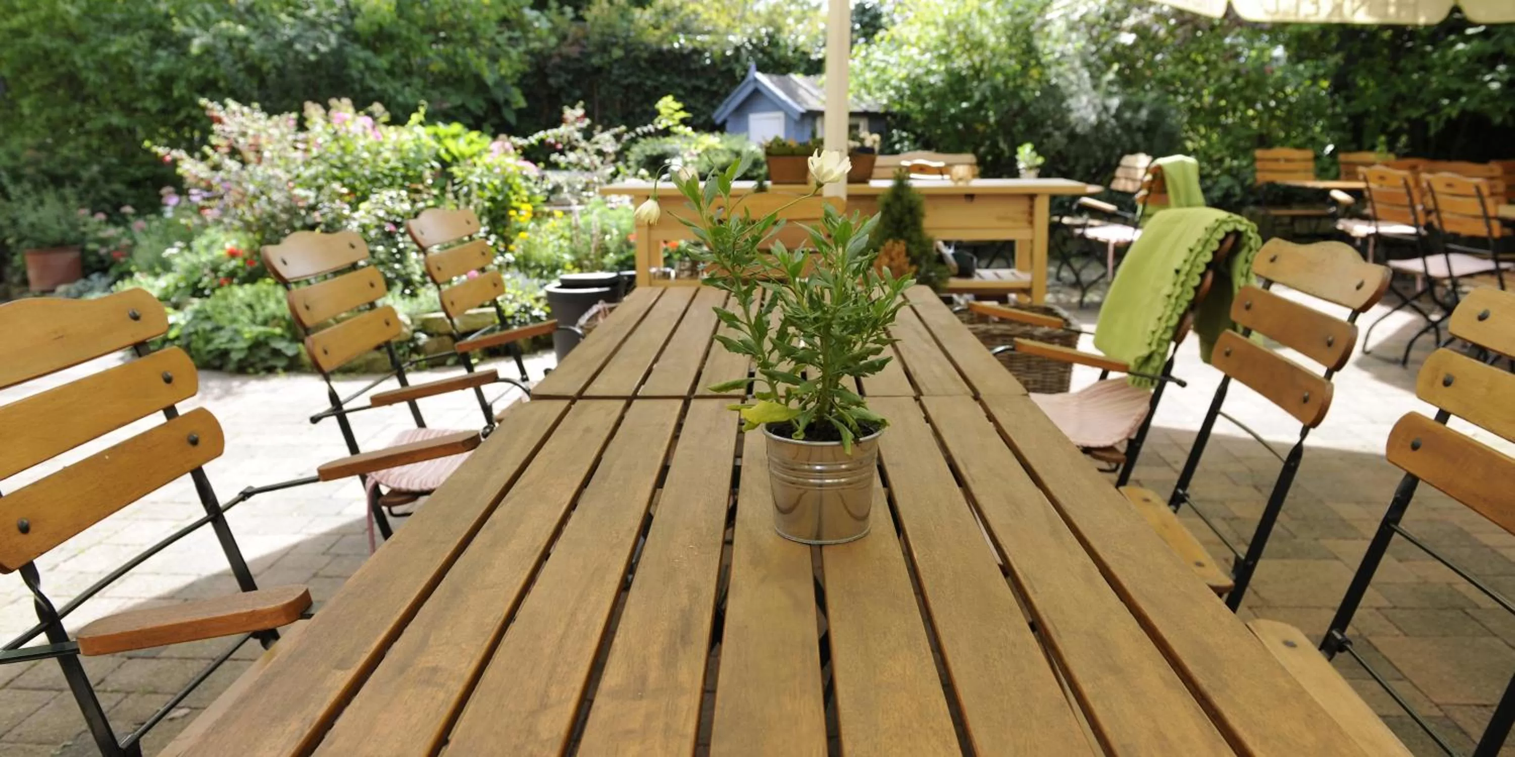 Restaurant/places to eat in Hotel Ambiente