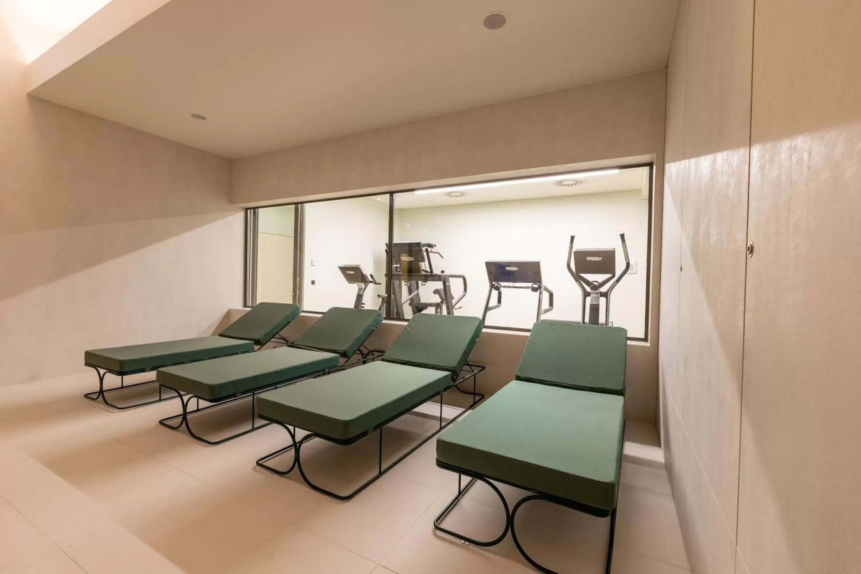 Fitness centre/facilities in LUSTER Hotel