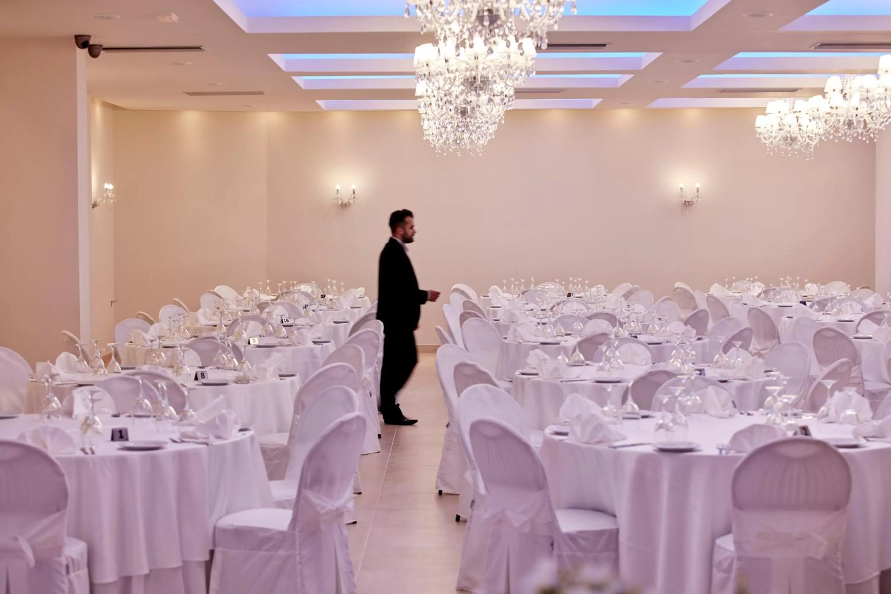 Banquet/Function facilities in Aar Hotel & Spa Ioannina