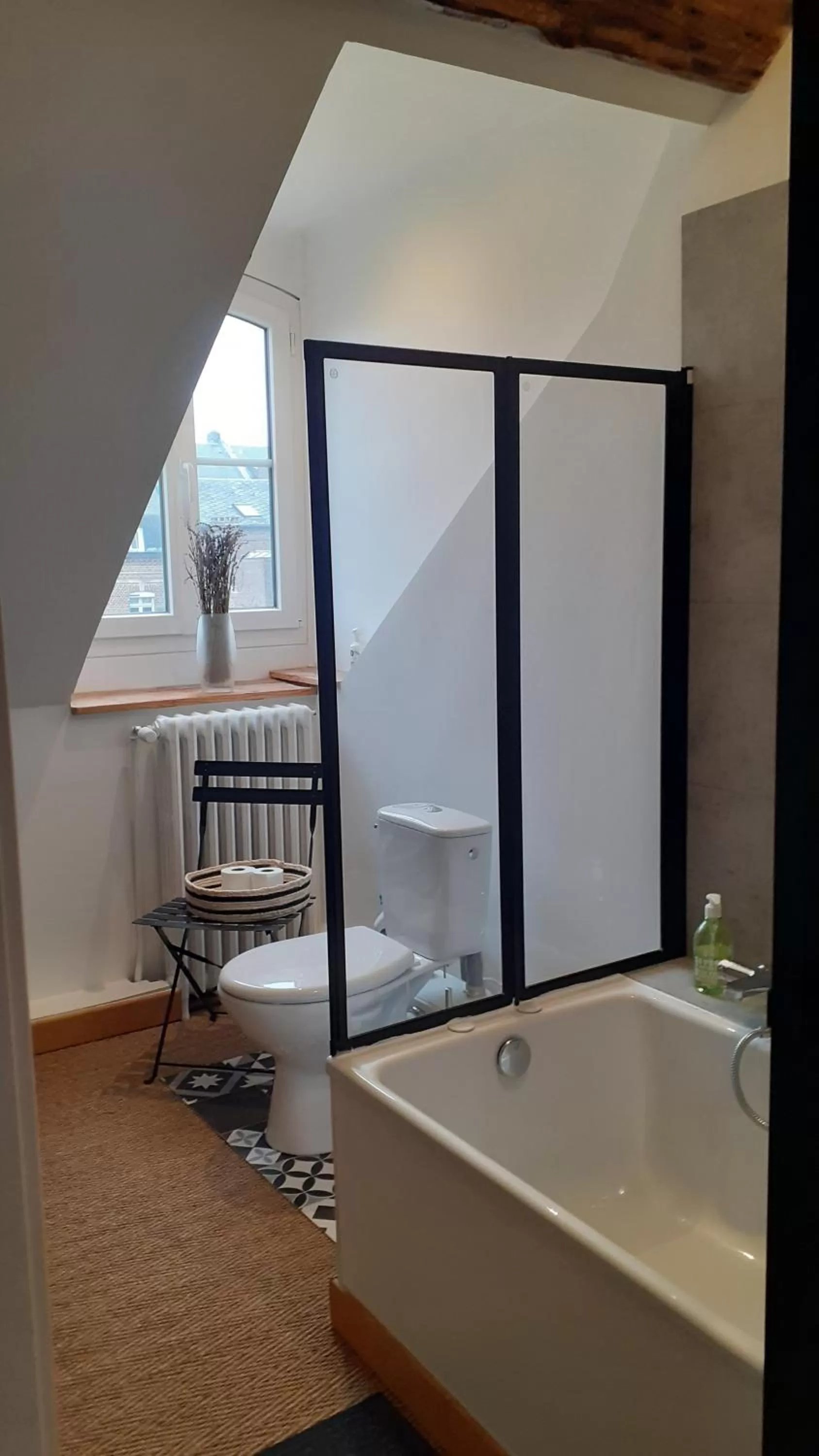 Bathroom in Jules Verne