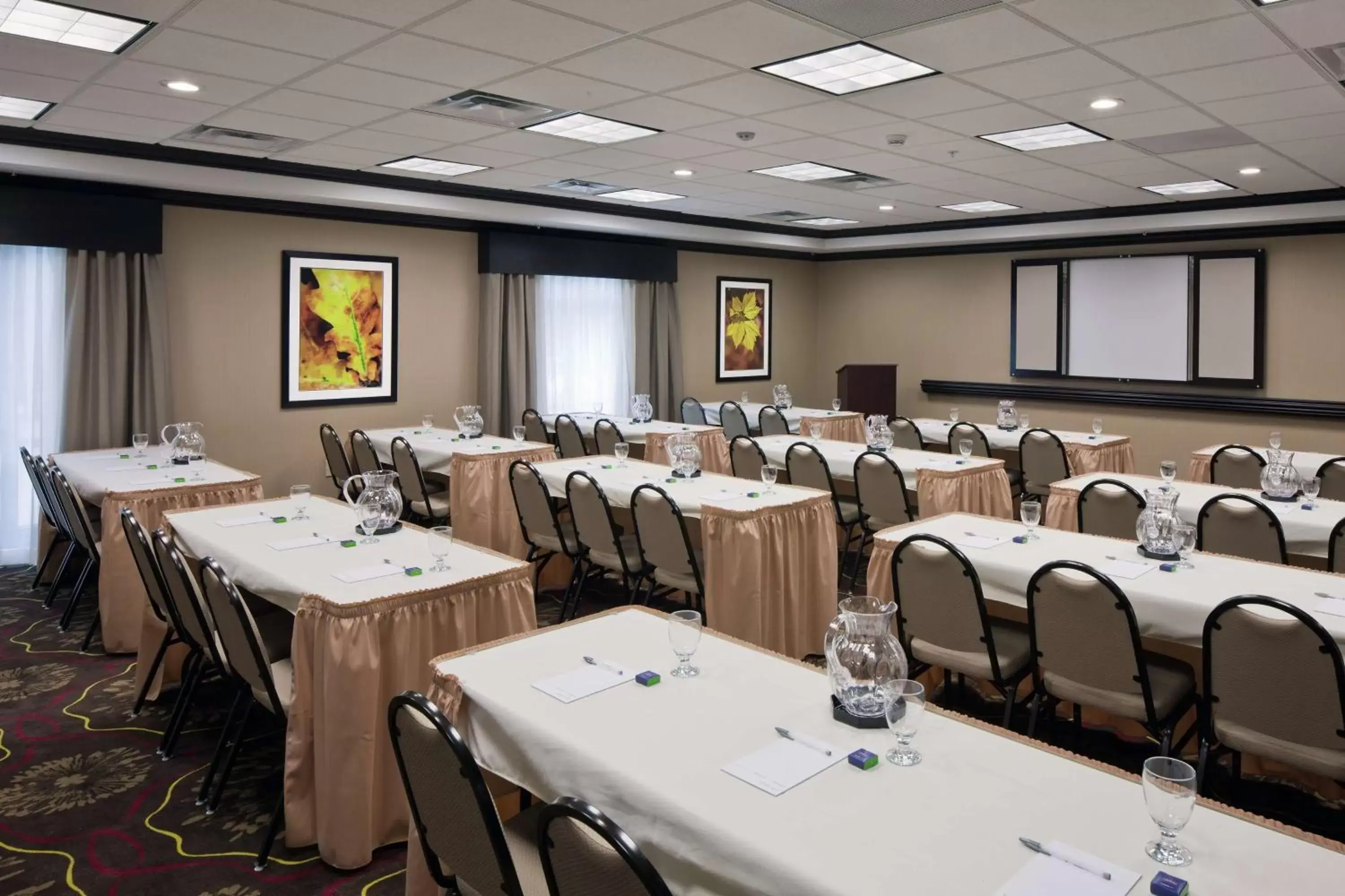 Meeting/conference room in Hampton Inn & Suites Saginaw