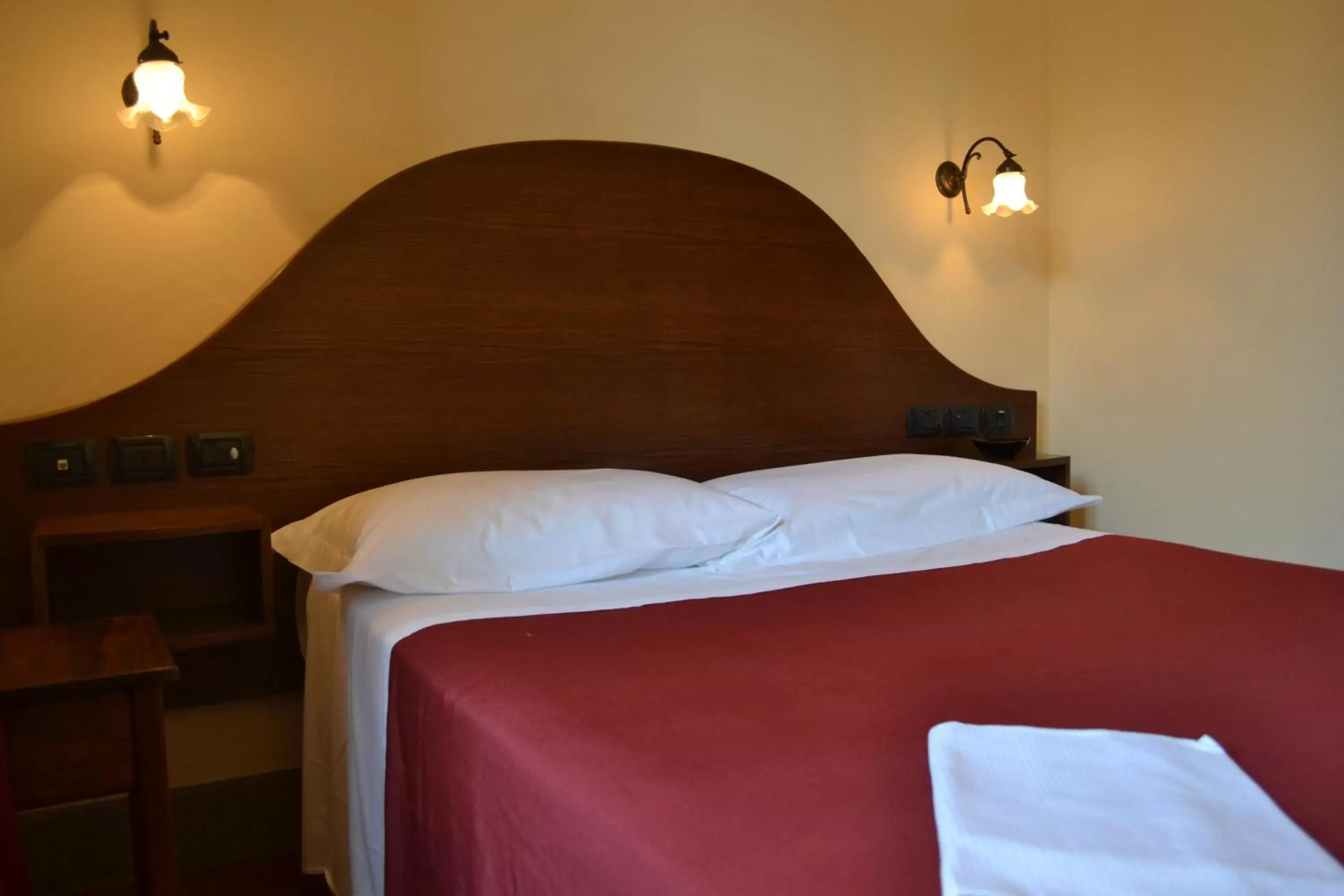 Single Room in Hotel Al SanPietrino
