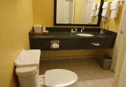 Bathroom in Magnolia Inn And Suites