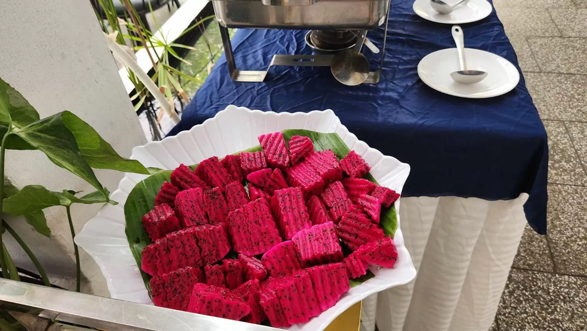 Restaurant/places to eat in Bamboo9 Boutique