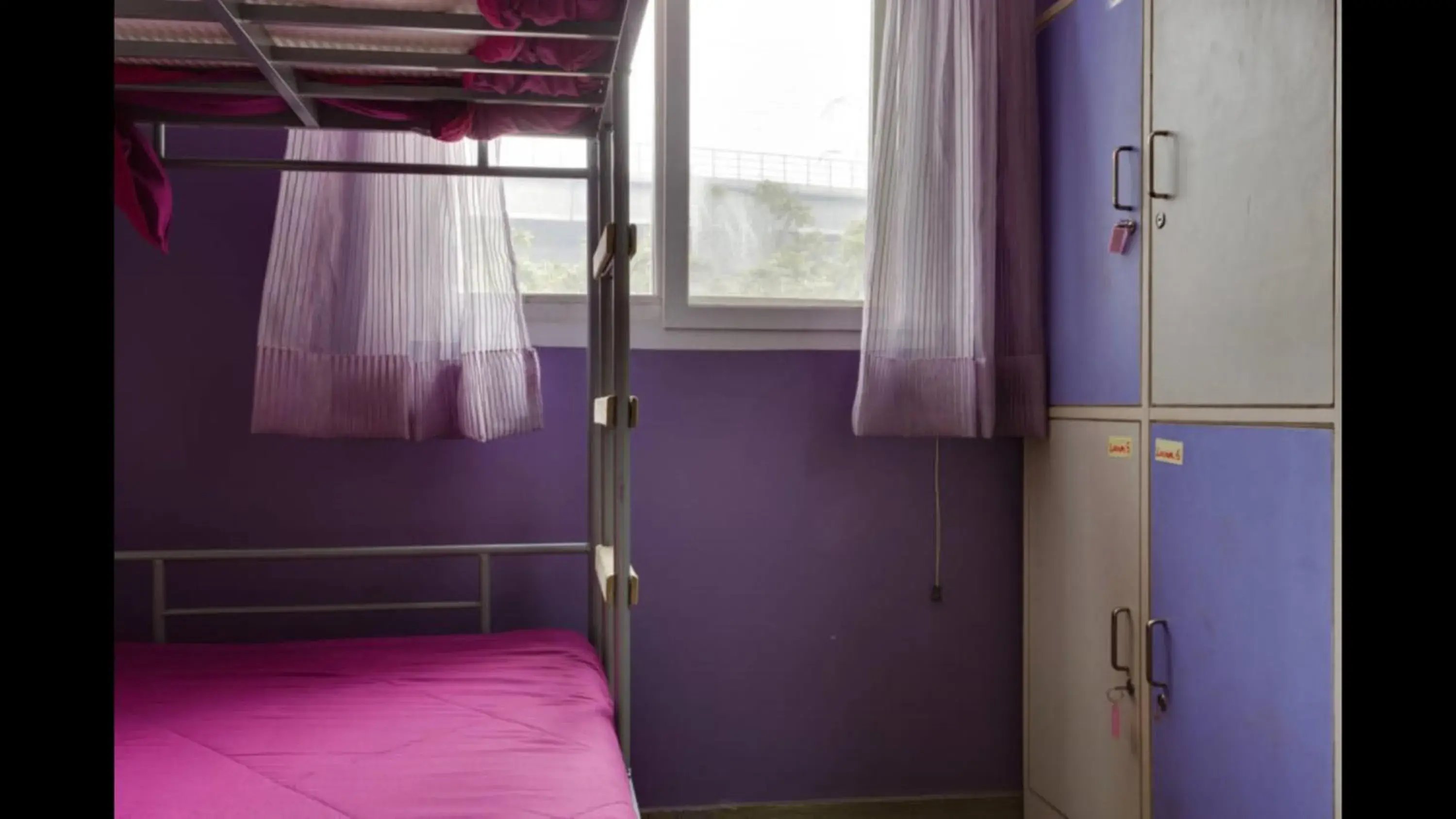bunk bed, Bed in Joeys Hostel