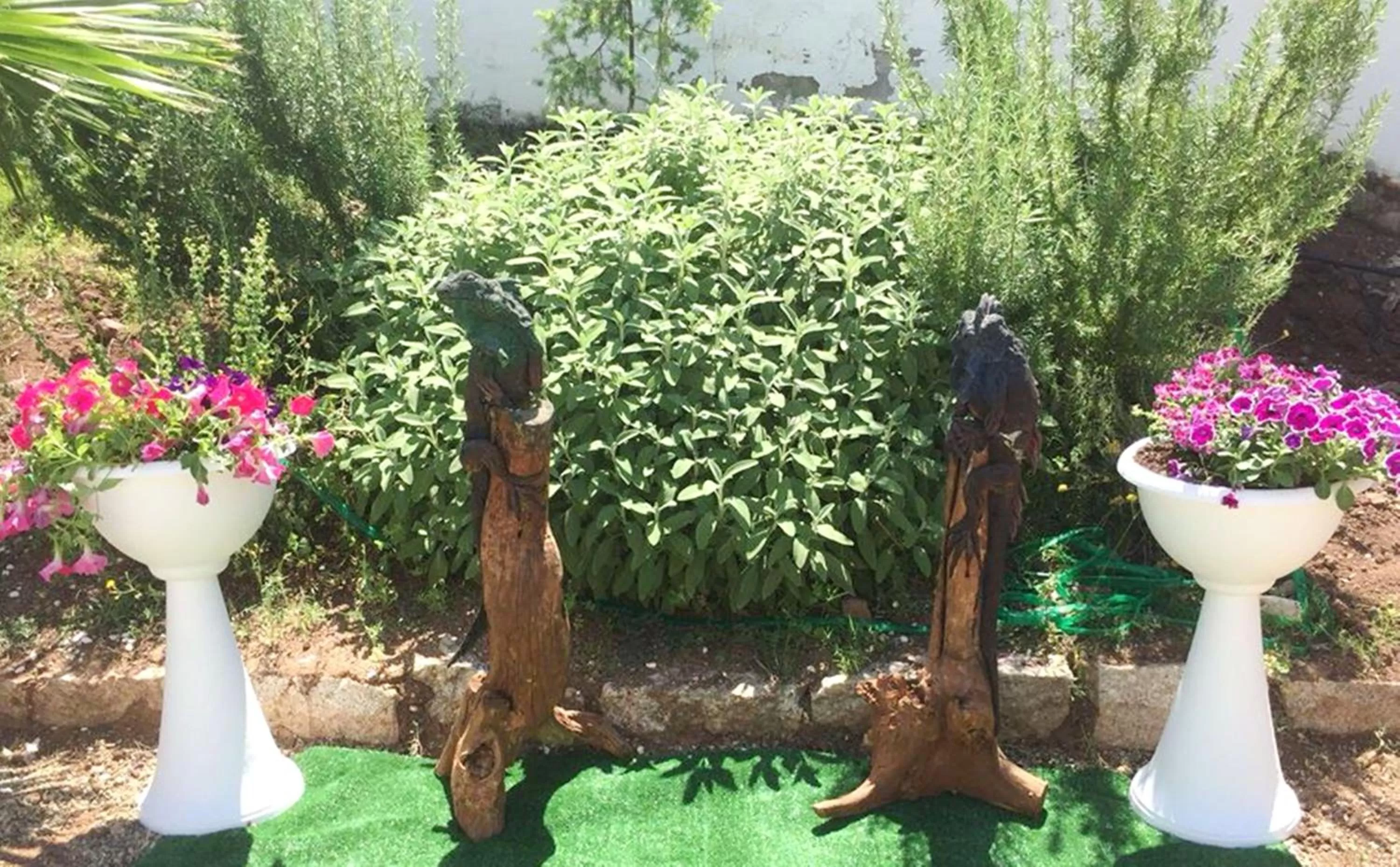 Spring in Hotel Palladium