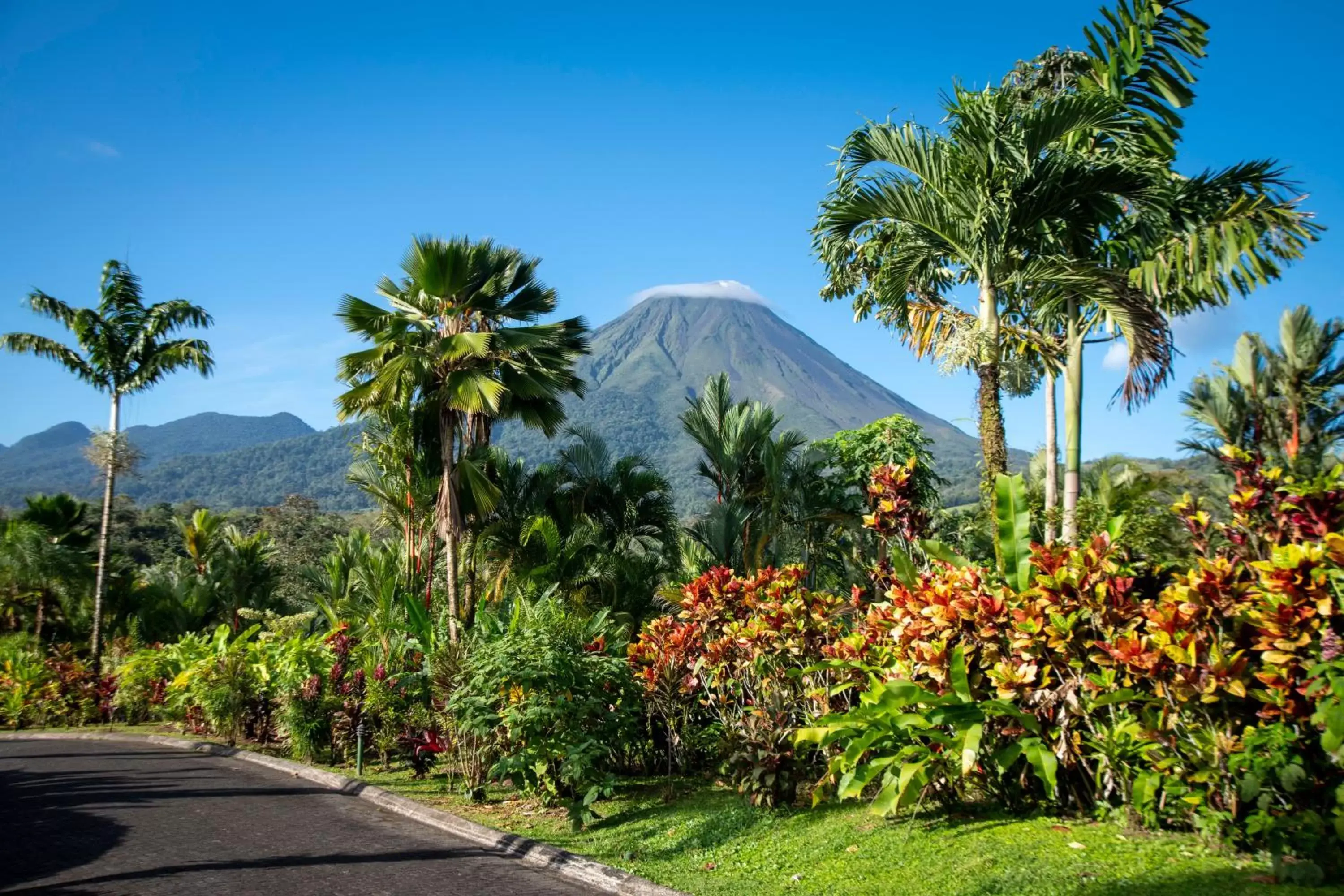 Mountain view in Arenal Manoa Resort & Hot Springs